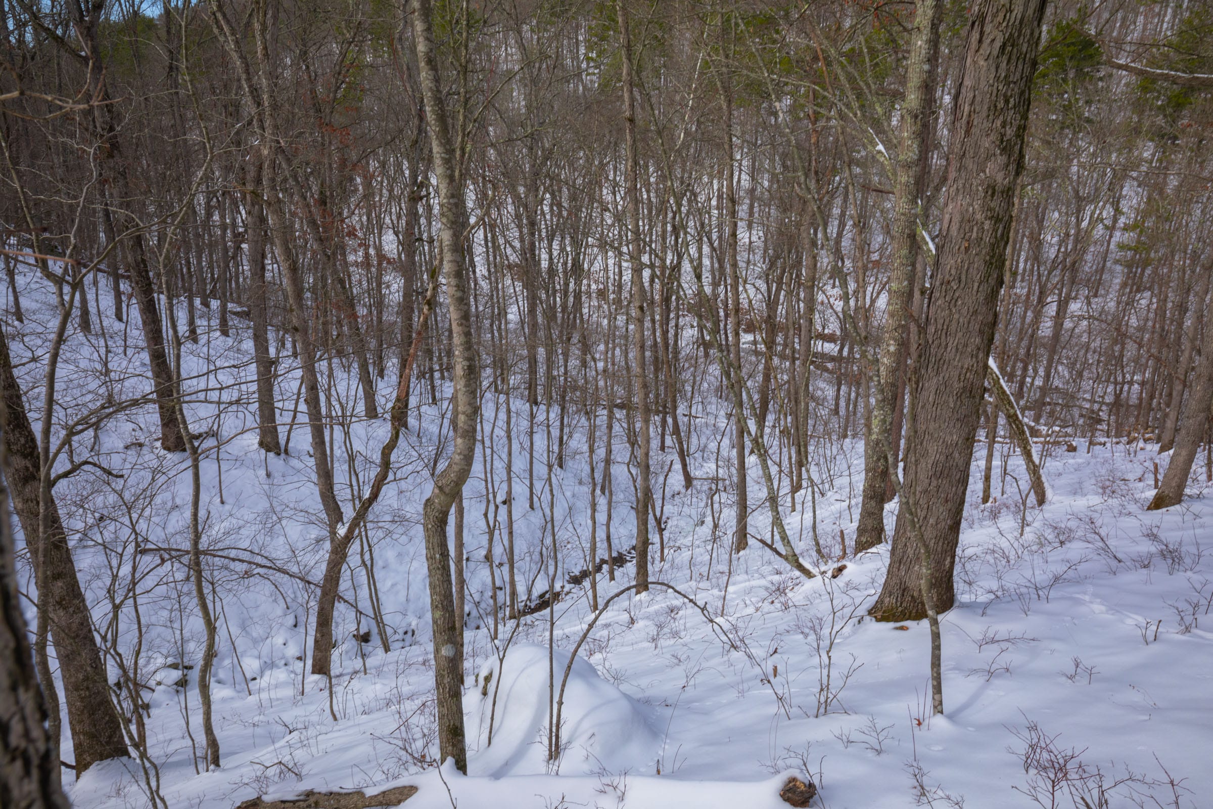 Sleepy Hollow Phase I Tract 48 photo 7