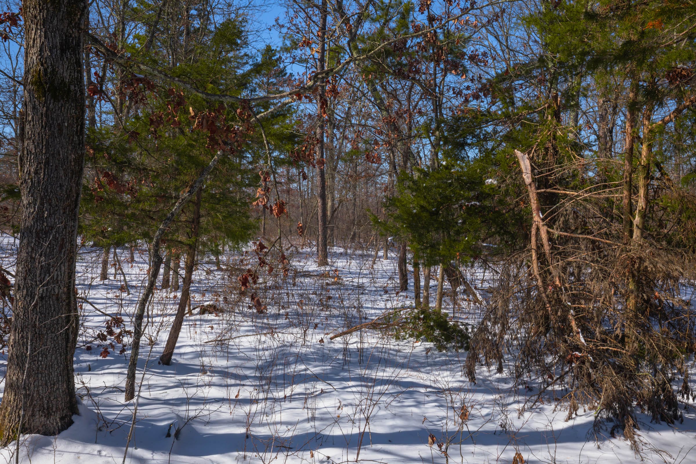 Sleepy Hollow Phase I Tract 48 photo 4