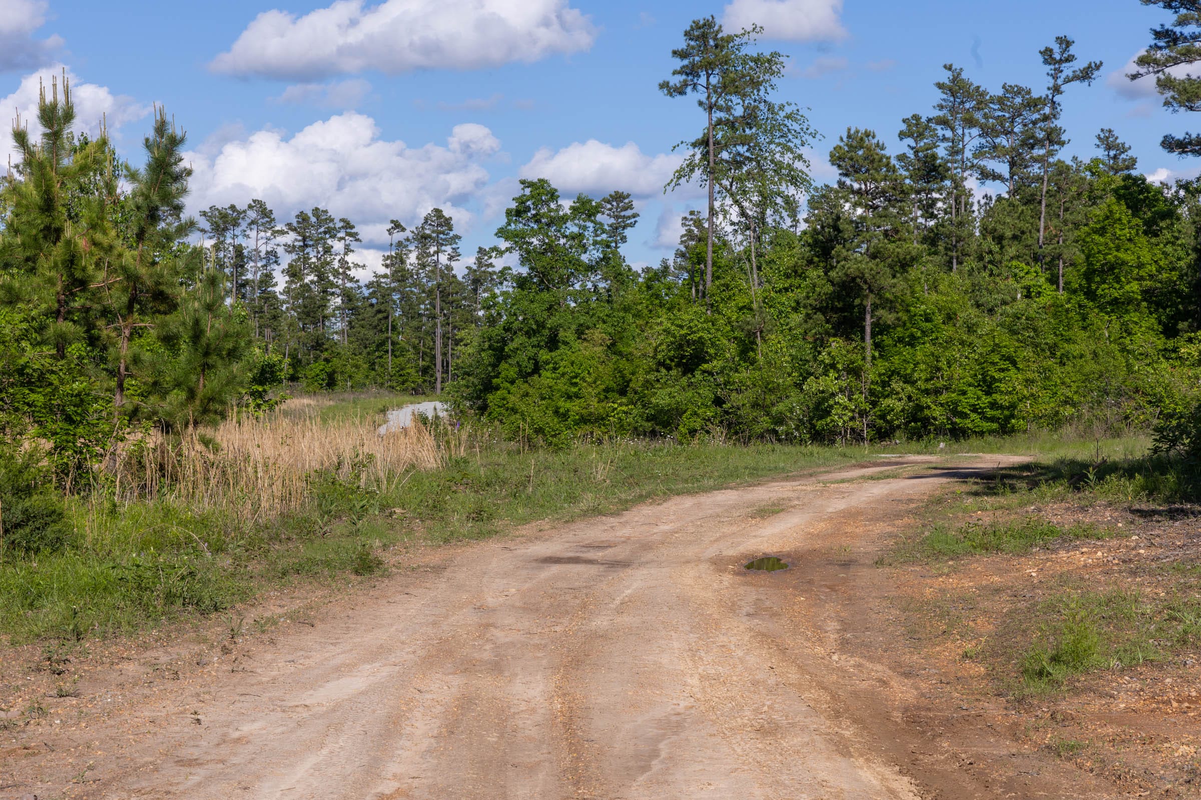 Sleepy Hollow Phase II Tract 64 photo 6