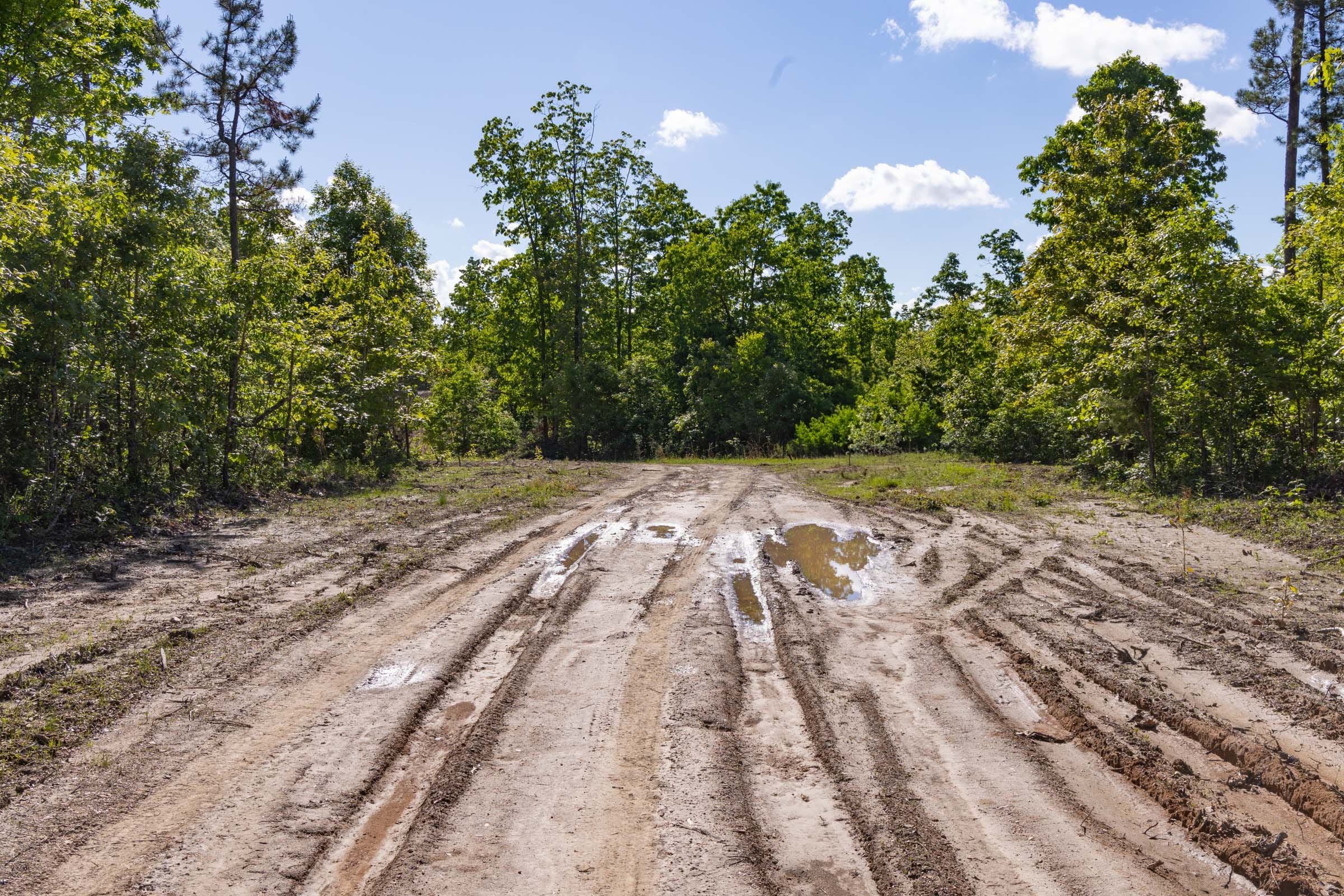 Sleepy Hollow Phase II Tract 64 photo 2