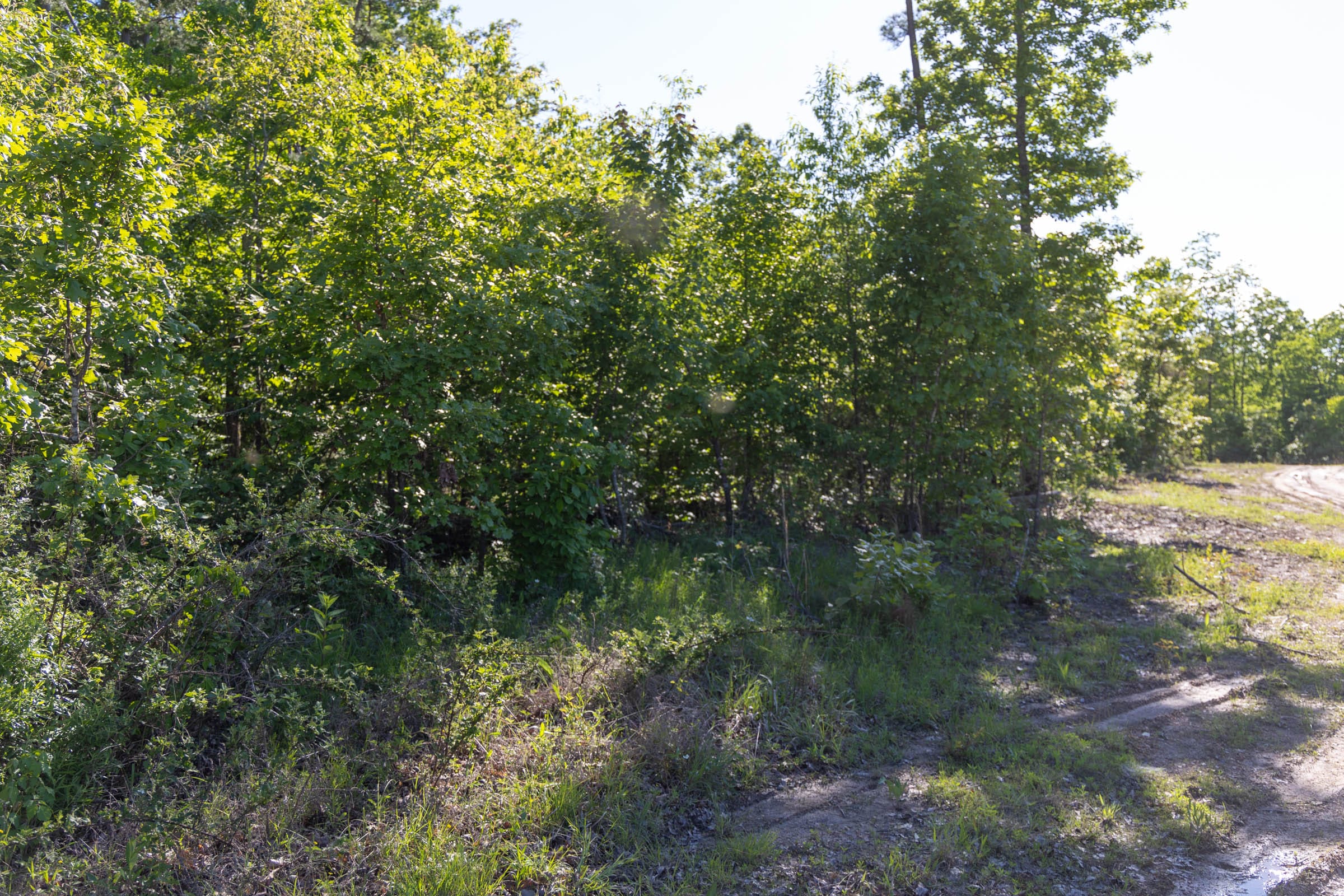 Sleepy Hollow Phase II Tract 64 photo 11