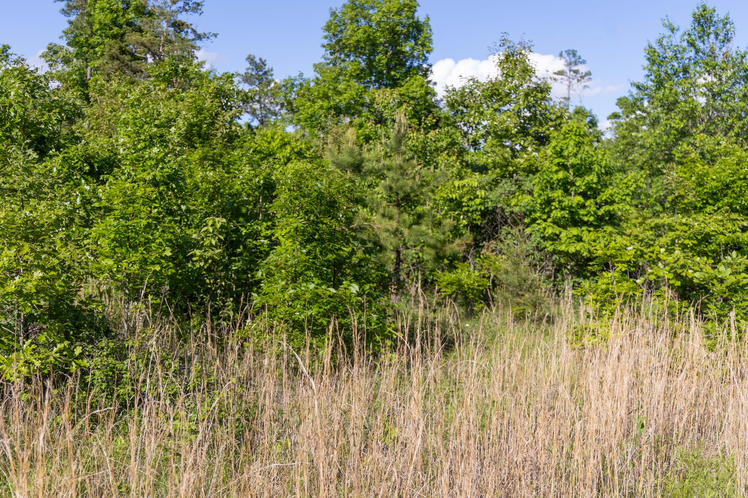 Sleepy Hollow Phase II Tract 64 photo 8