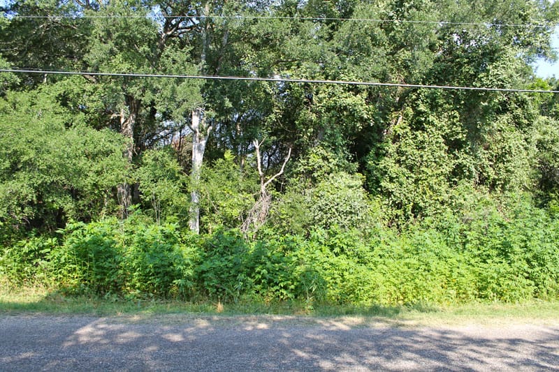 Tahitian Village Tract 313 photo 8