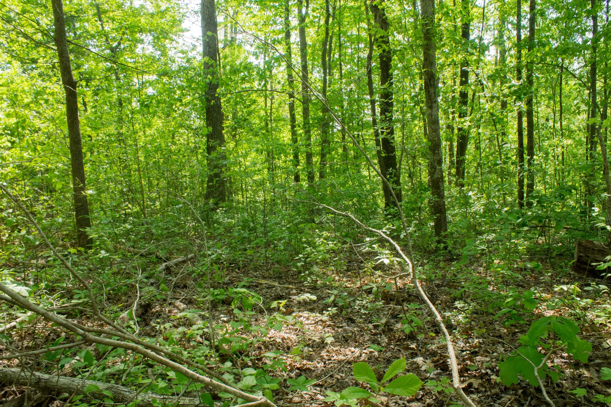 Trails End Tract 20 photo 1
