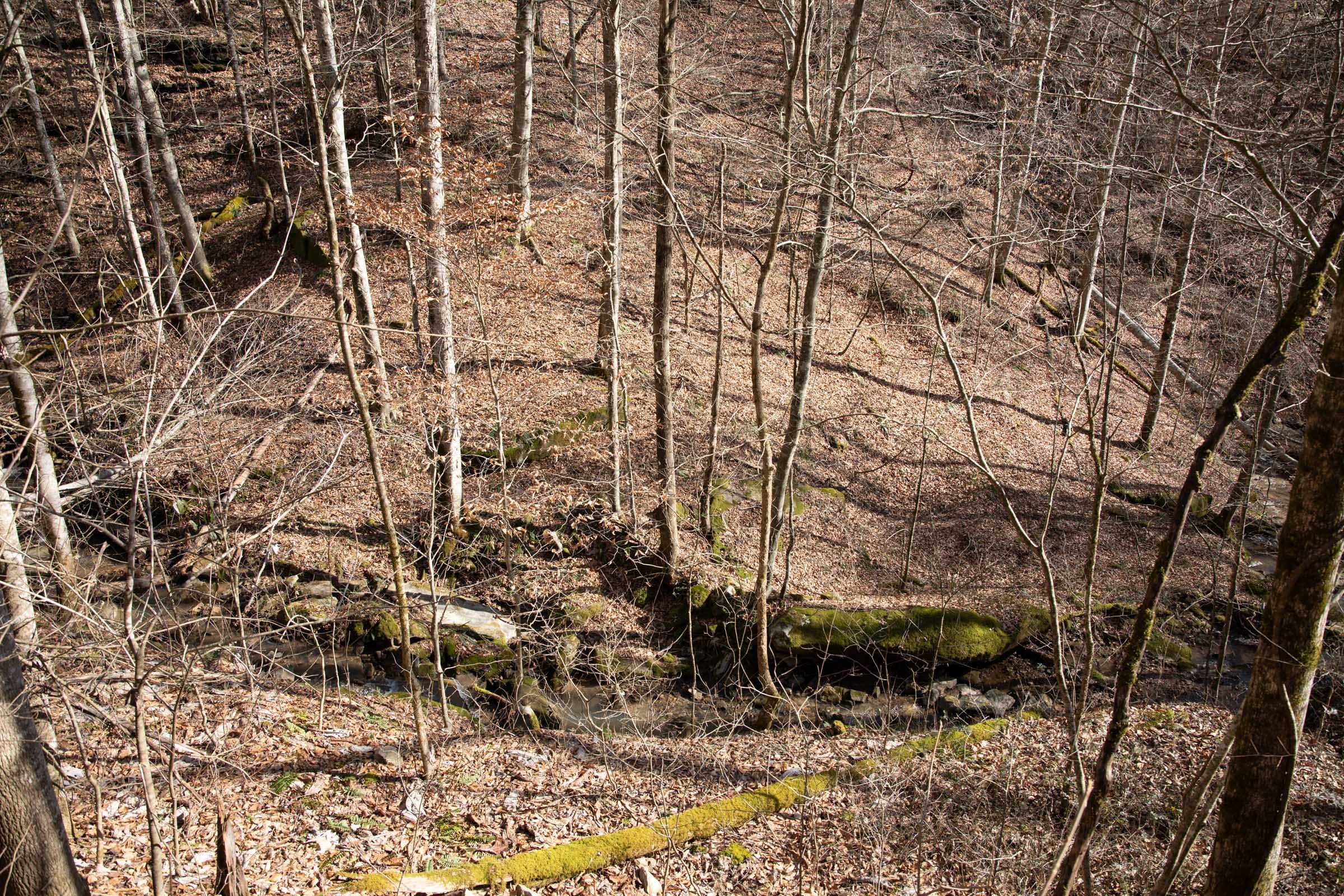 Blackstone Mountain Phase I Tract 50 photo 7