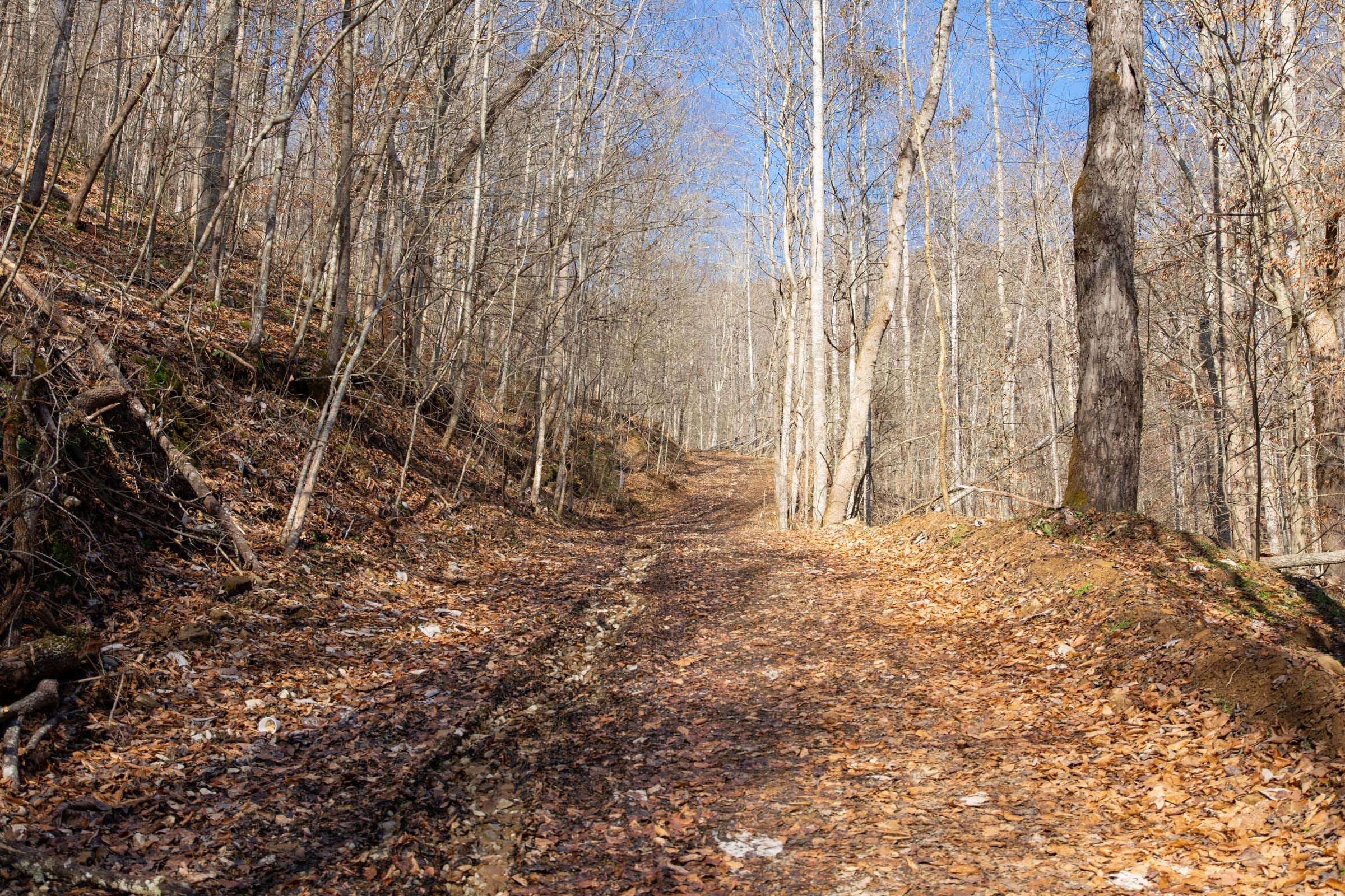 Blackstone Mountain Phase I Tract 50 photo 1