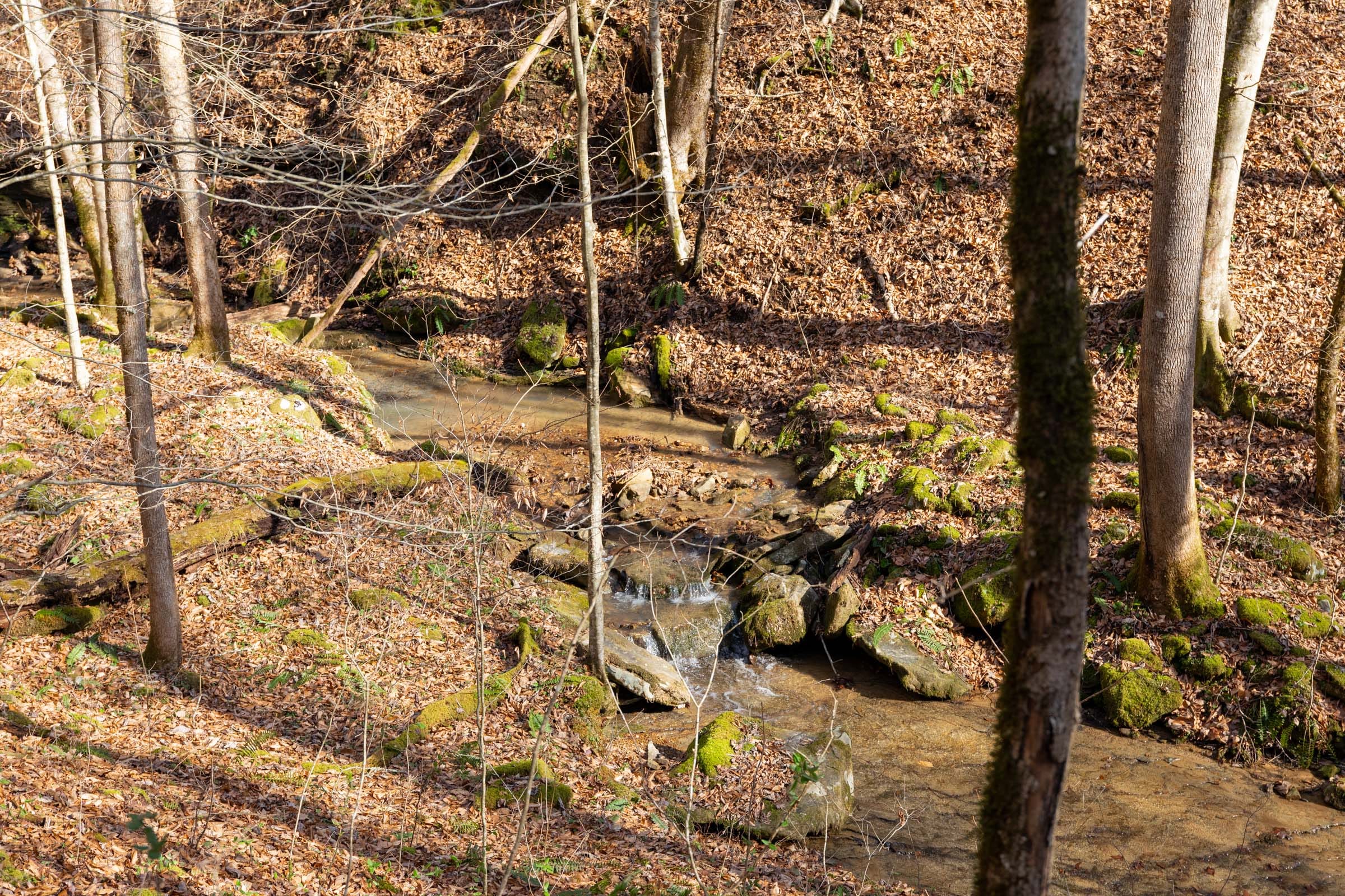 Blackstone Mountain Phase I Tract 50 photo 2
