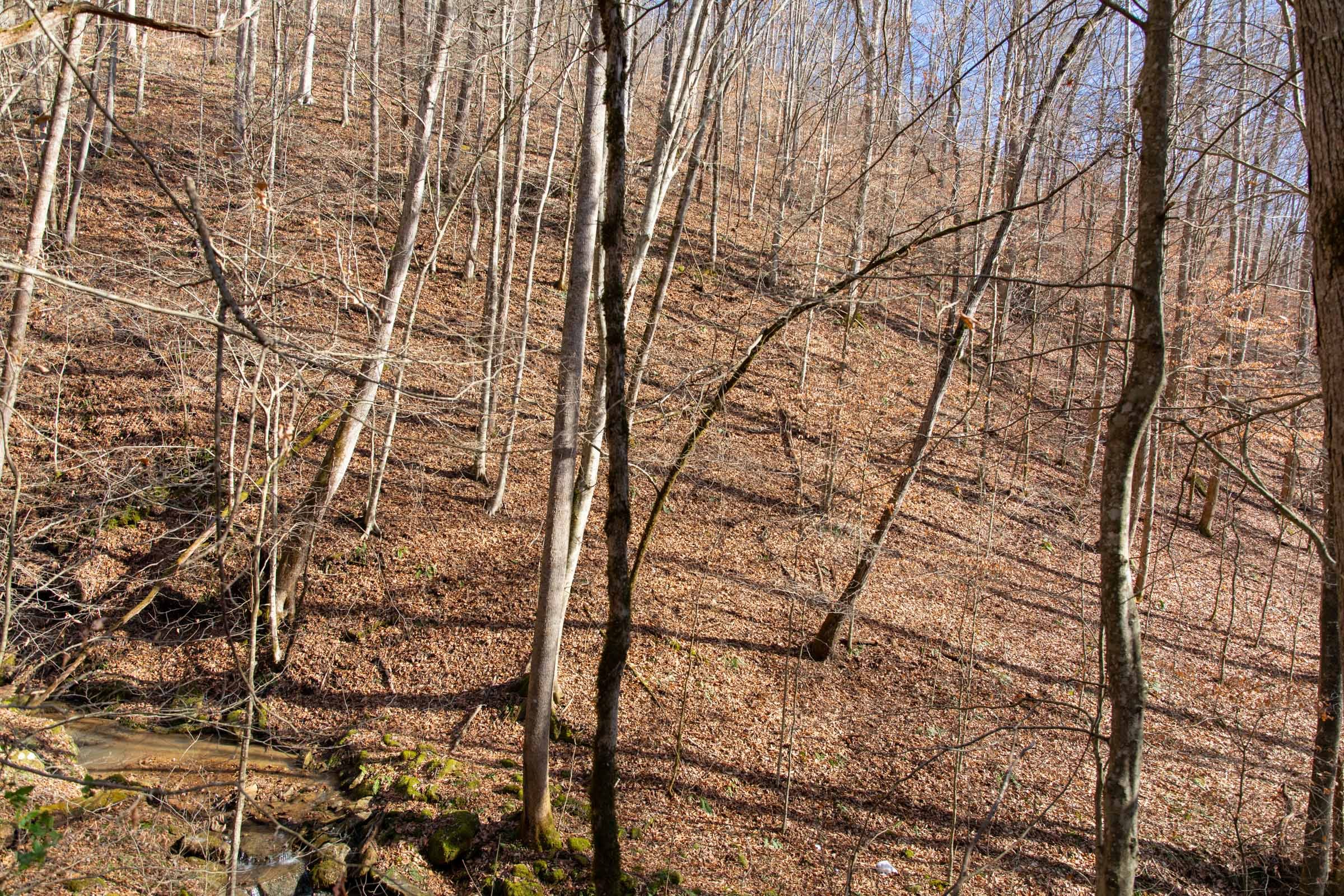 Blackstone Mountain Phase I Tract 50 photo 10