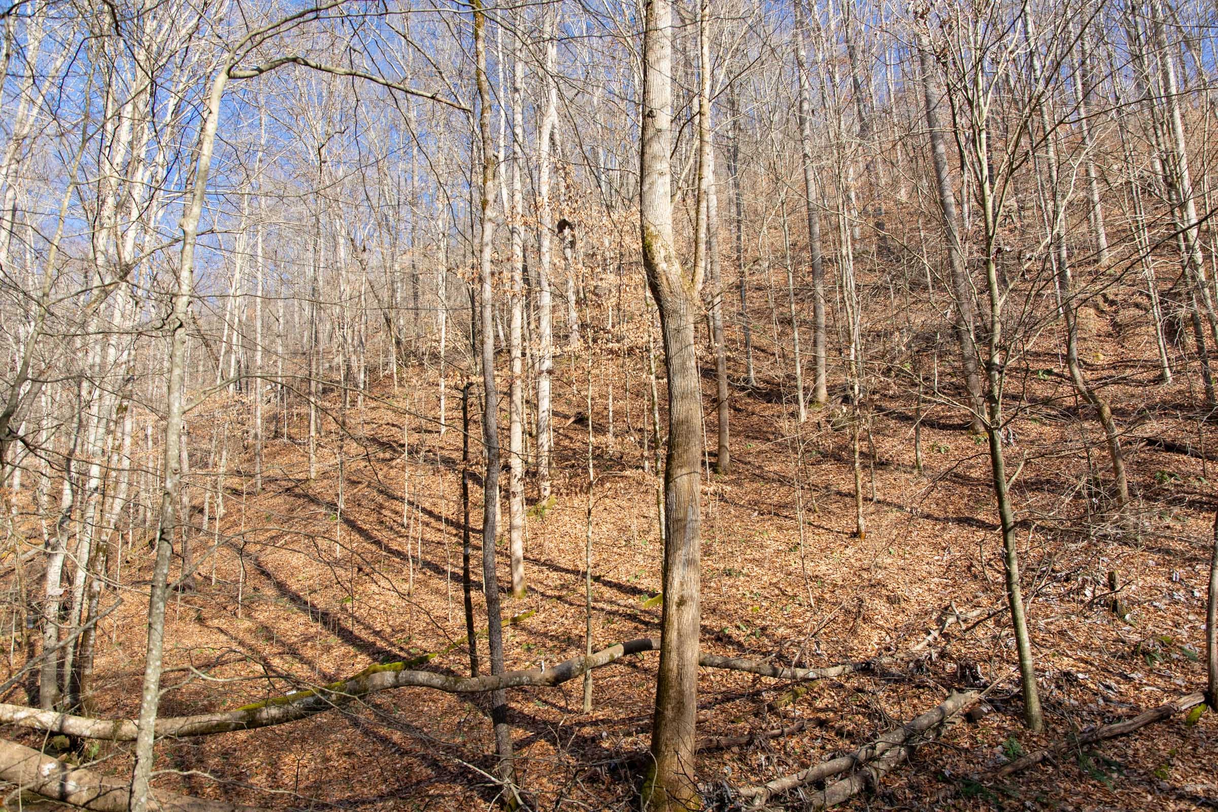 Blackstone Mountain Phase I Tract 50 photo 13