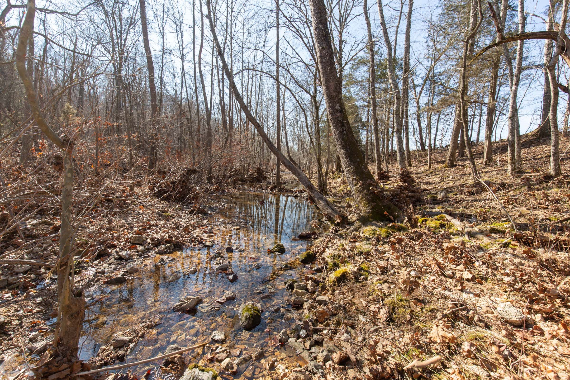 O’Connor Crossing Tract 22 photo 10