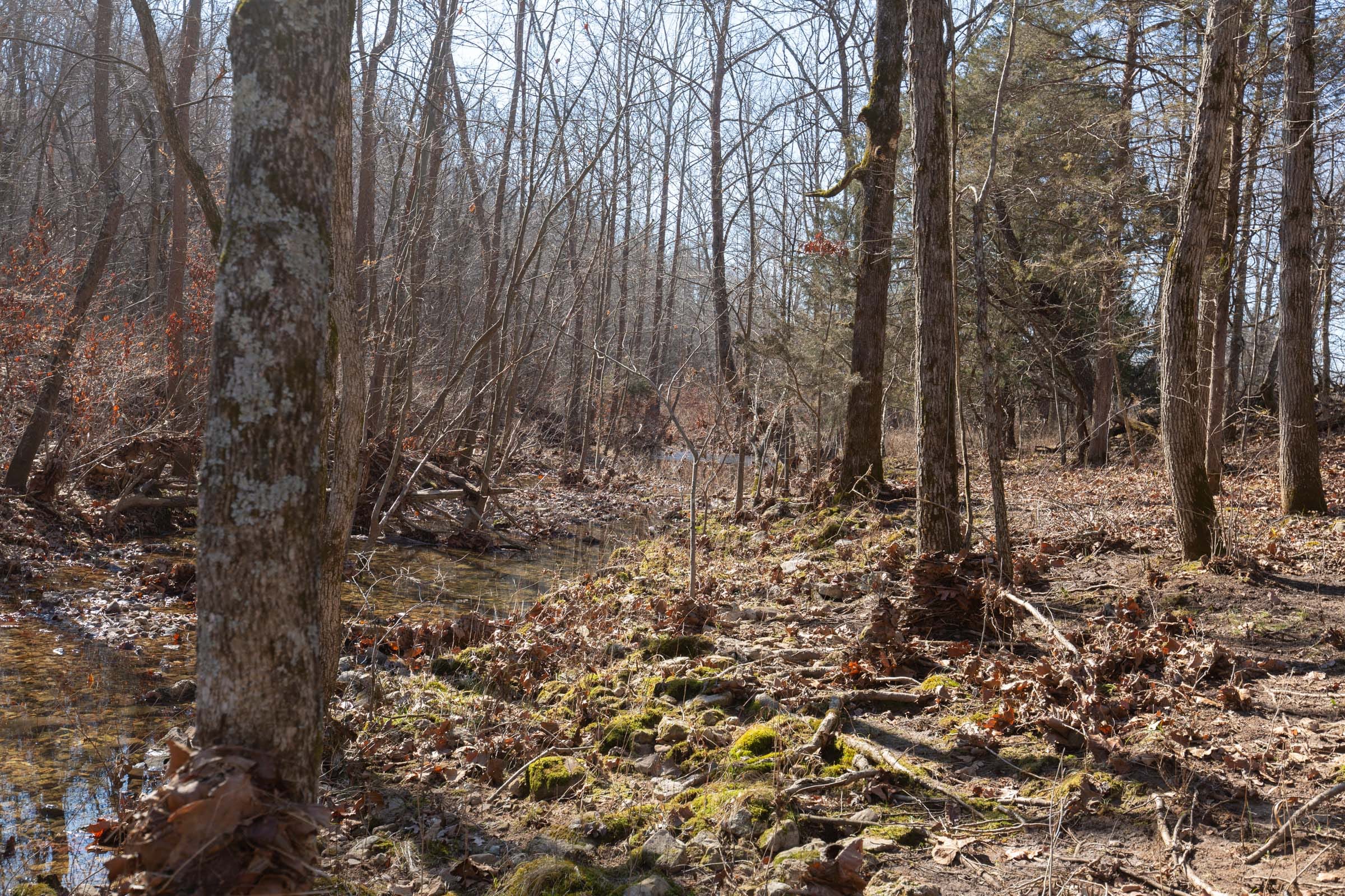 O’Connor Crossing Tract 22 photo 11