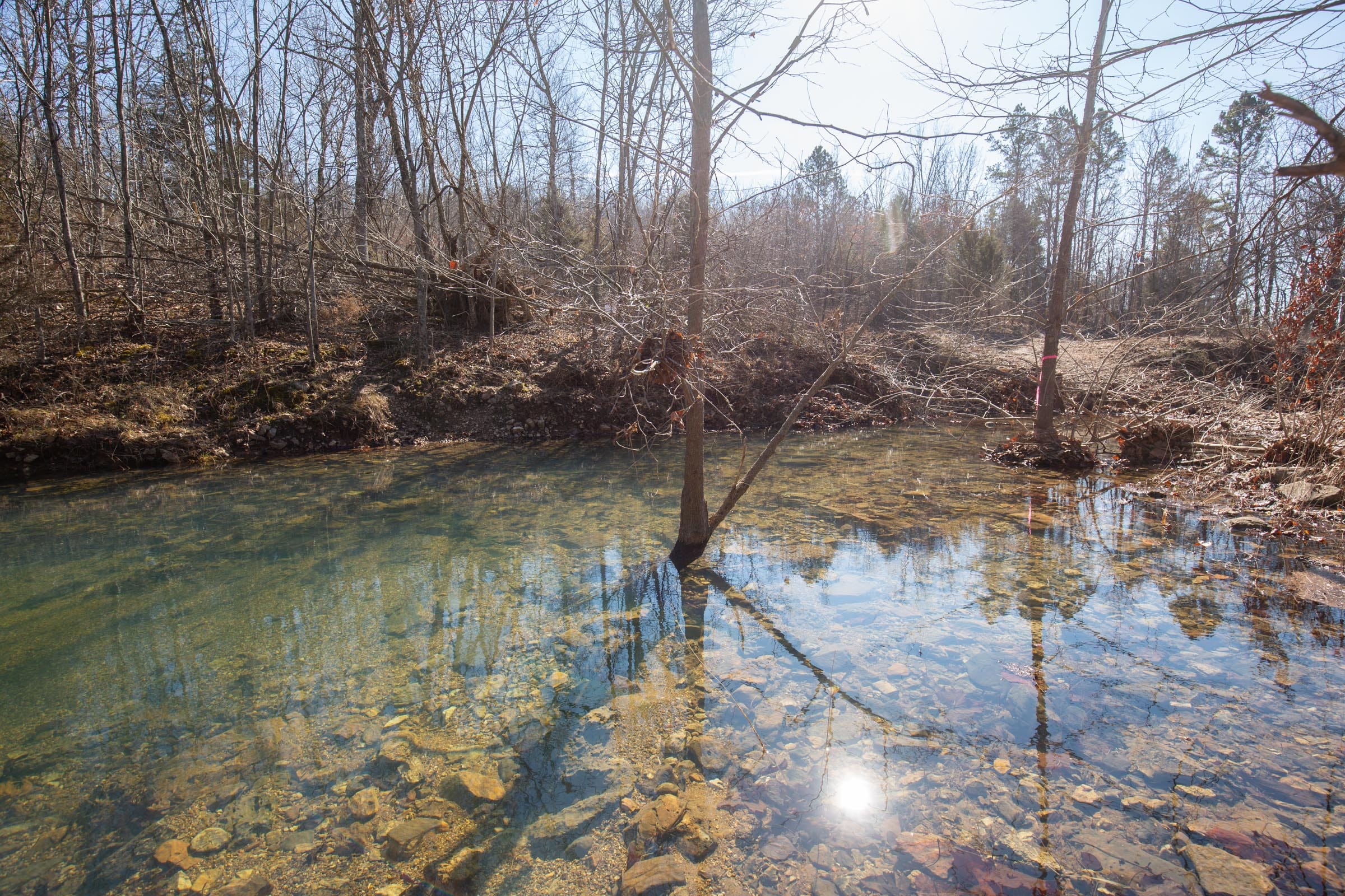 O’Connor Crossing Tract 22 photo 5