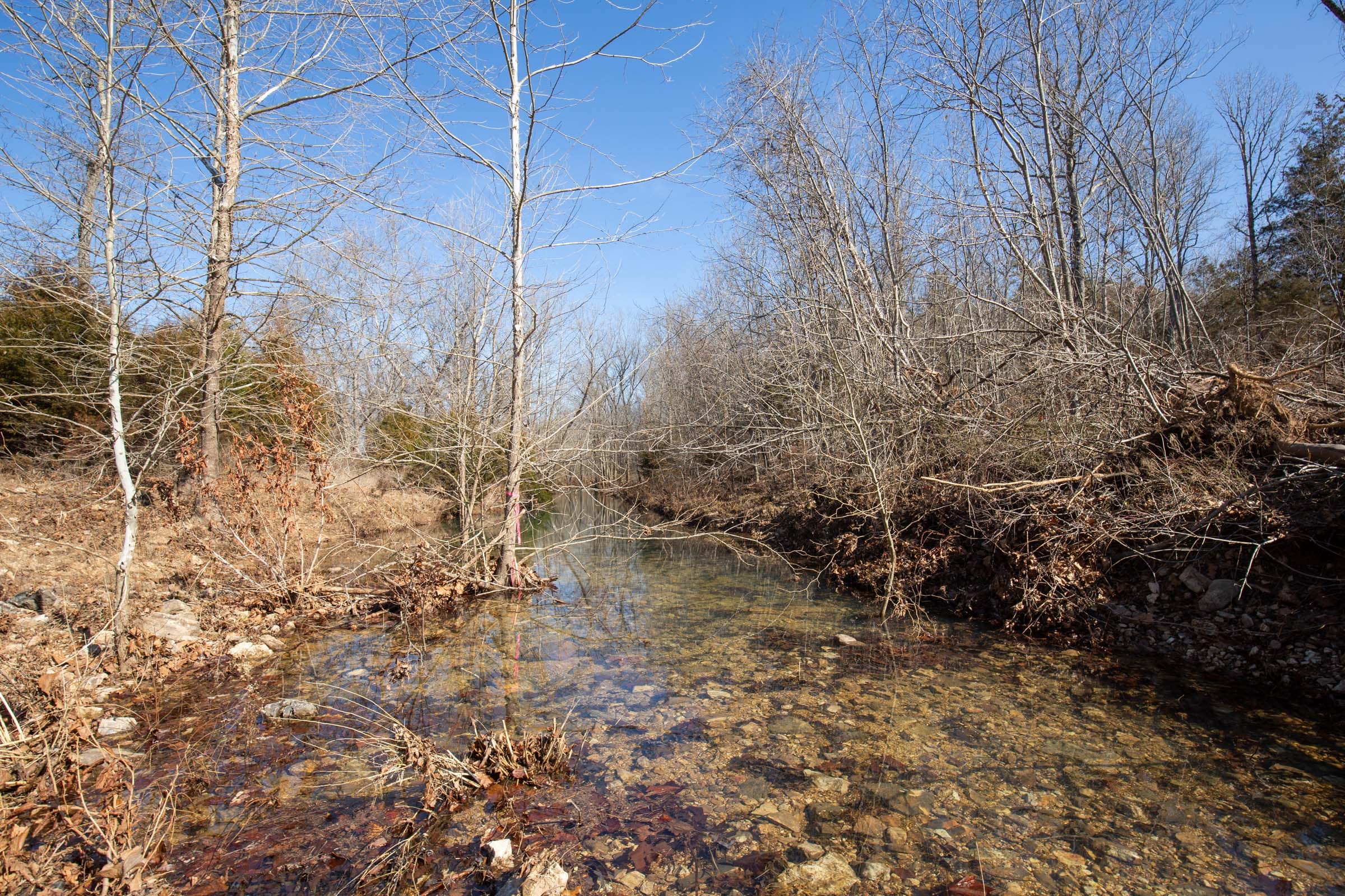 O’Connor Crossing Tract 22 photo 7