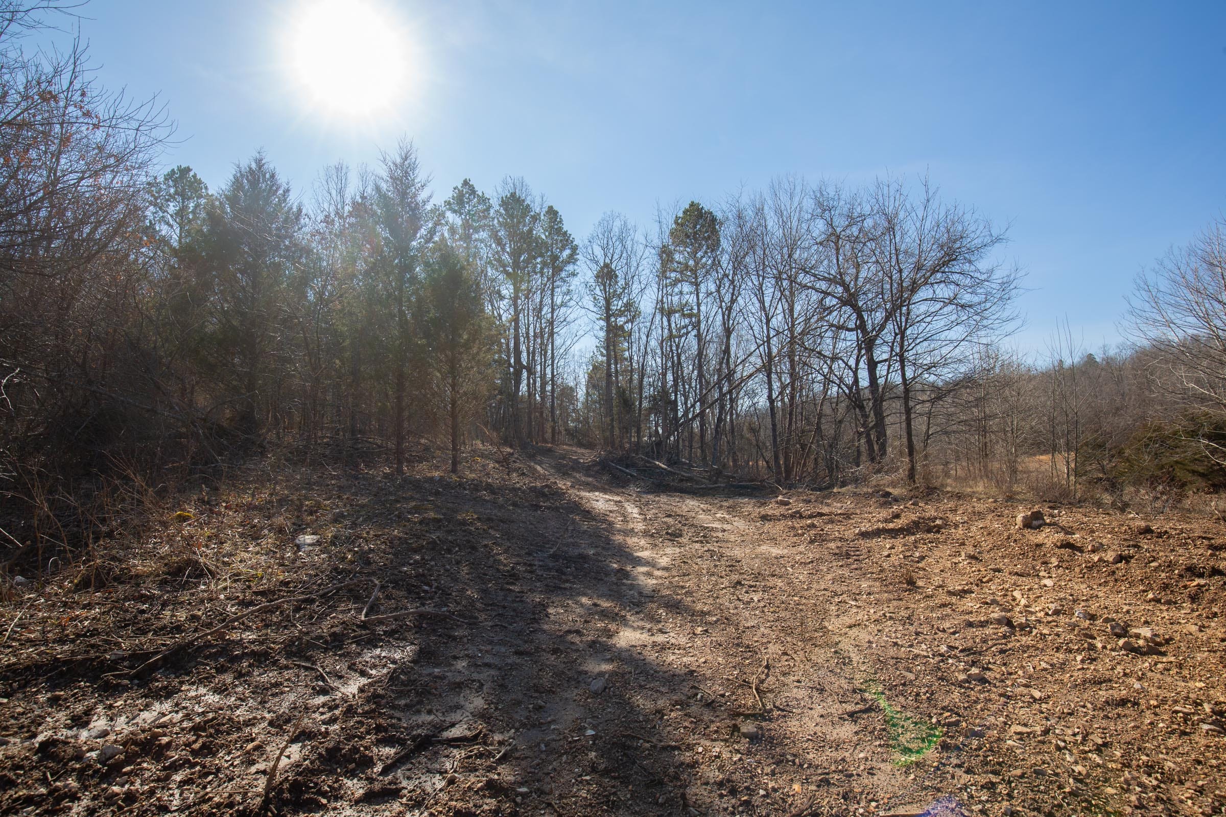O’Connor Crossing Tract 22 photo 2