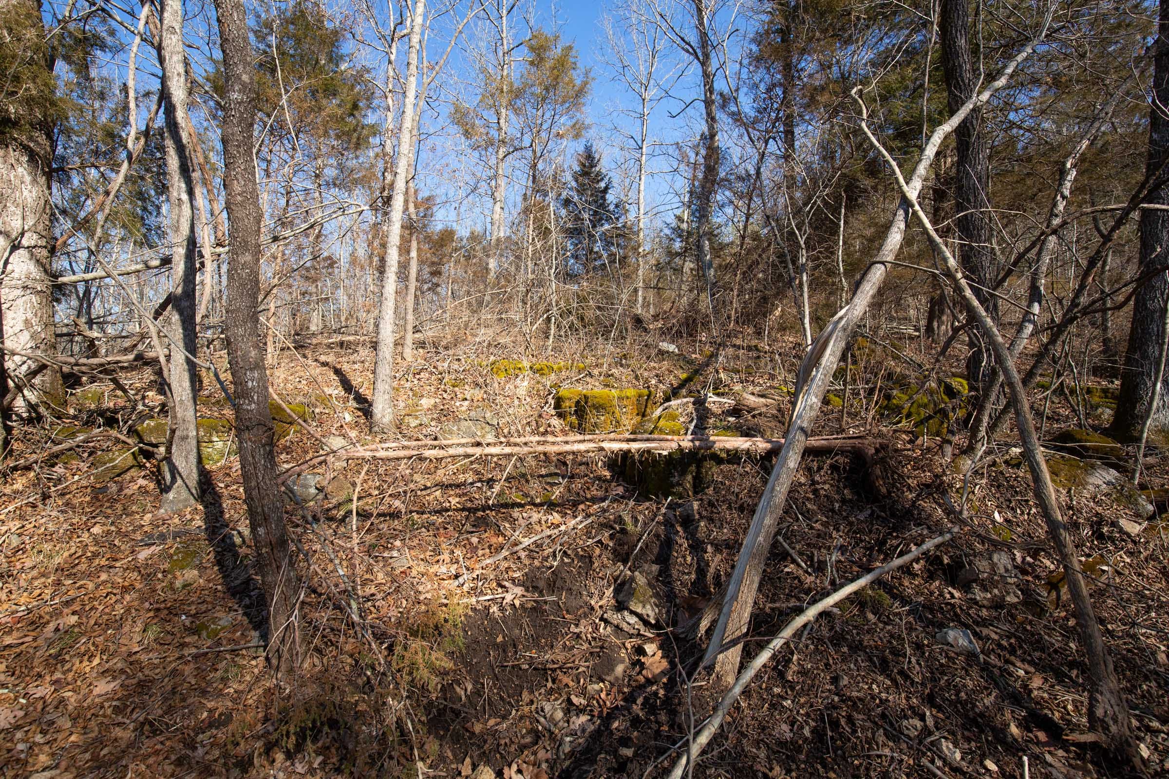 O’Connor Crossing Tract 22 photo 13