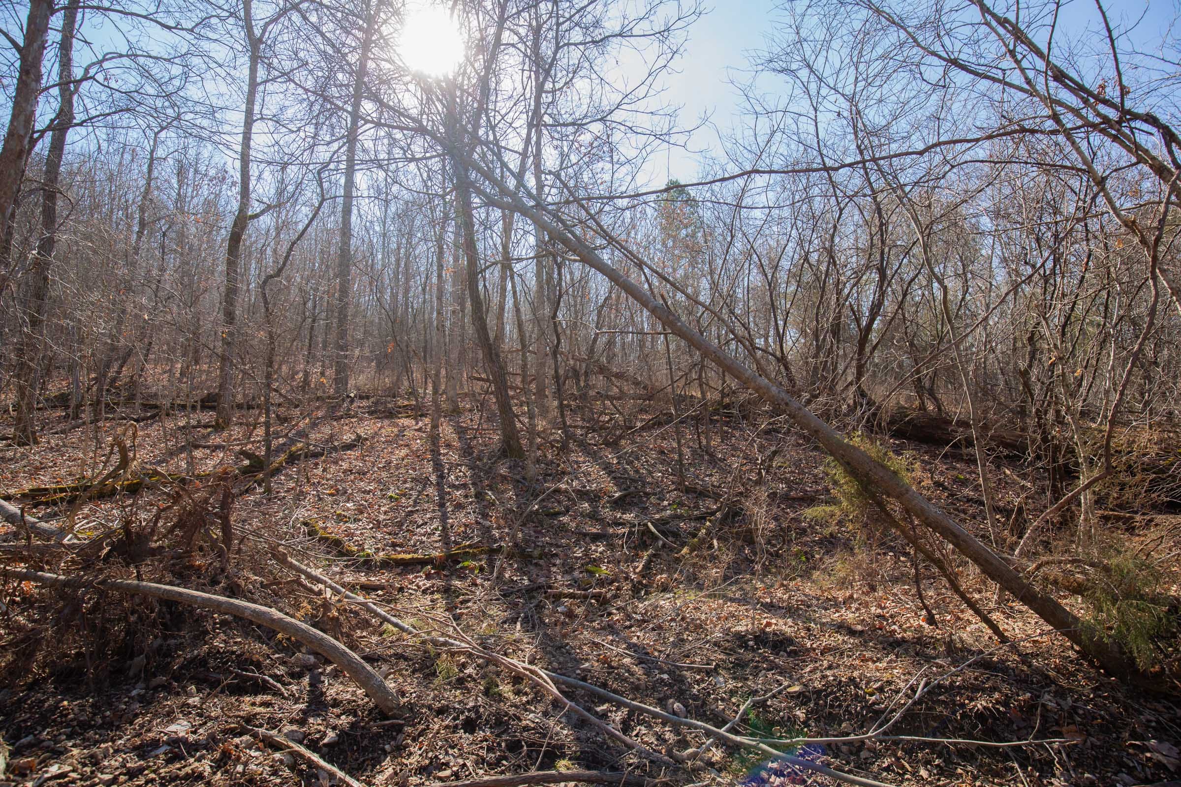 O’Connor Crossing Tract 22 photo 15