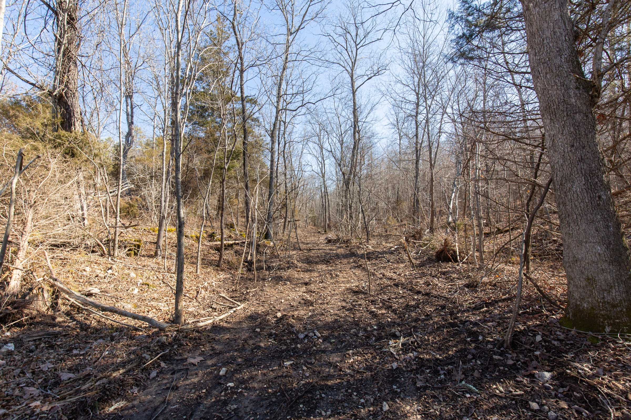 O’Connor Crossing Tract 22 photo 16