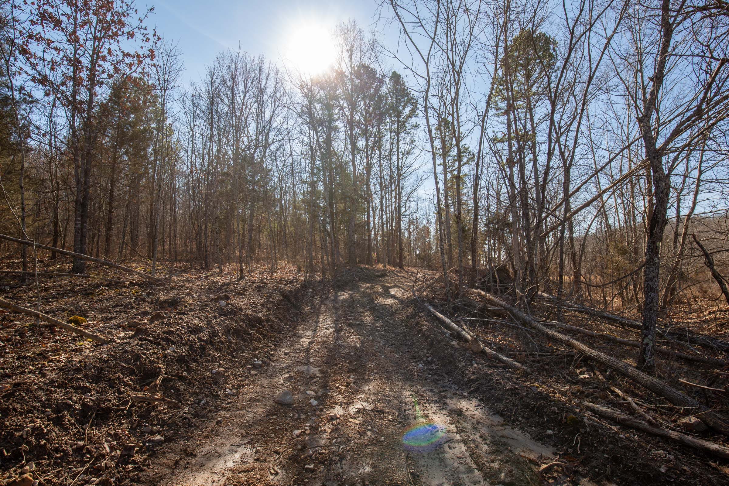 O’Connor Crossing Tract 22 photo 14