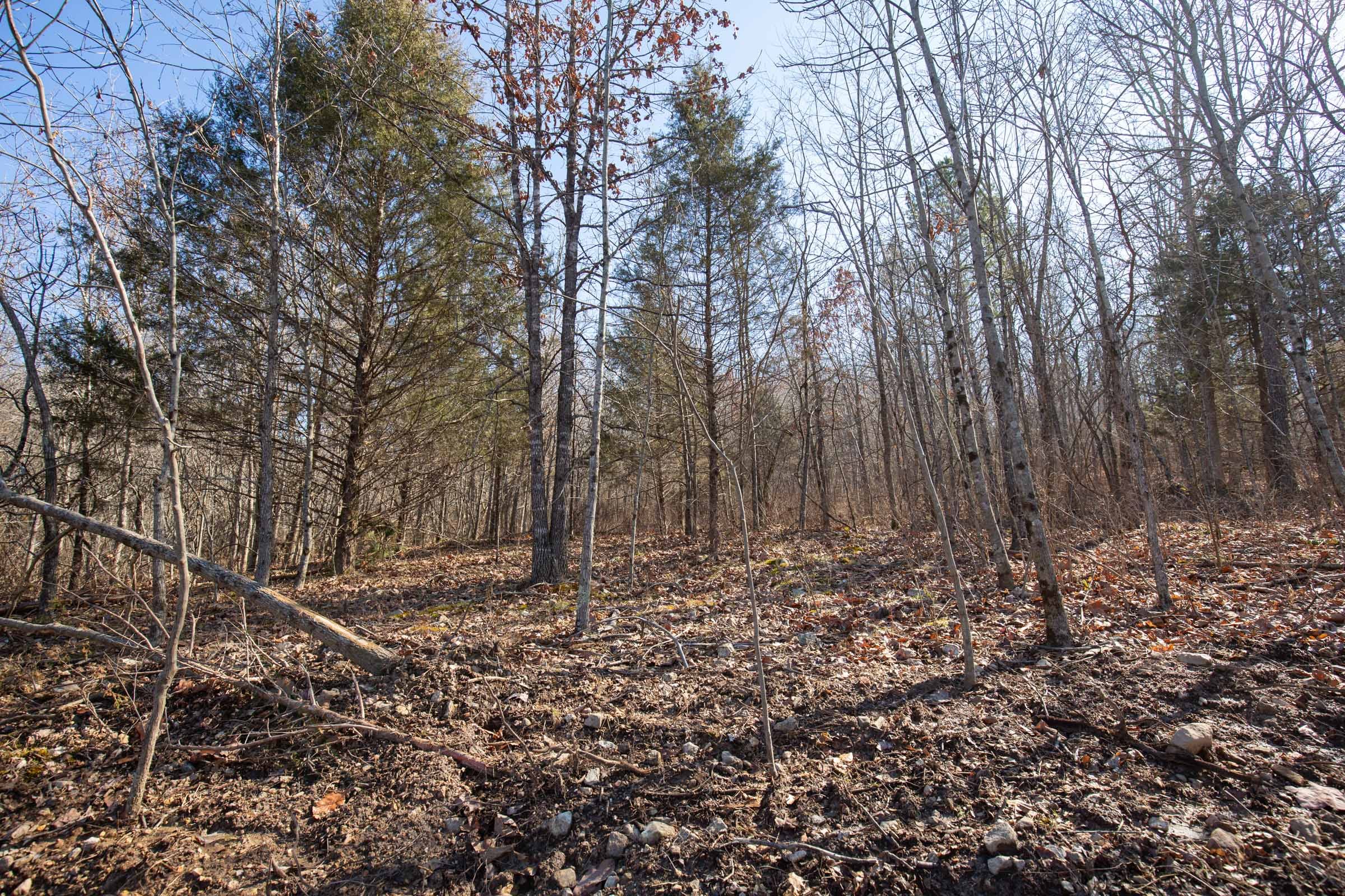 O’Connor Crossing Tract 22 photo 6