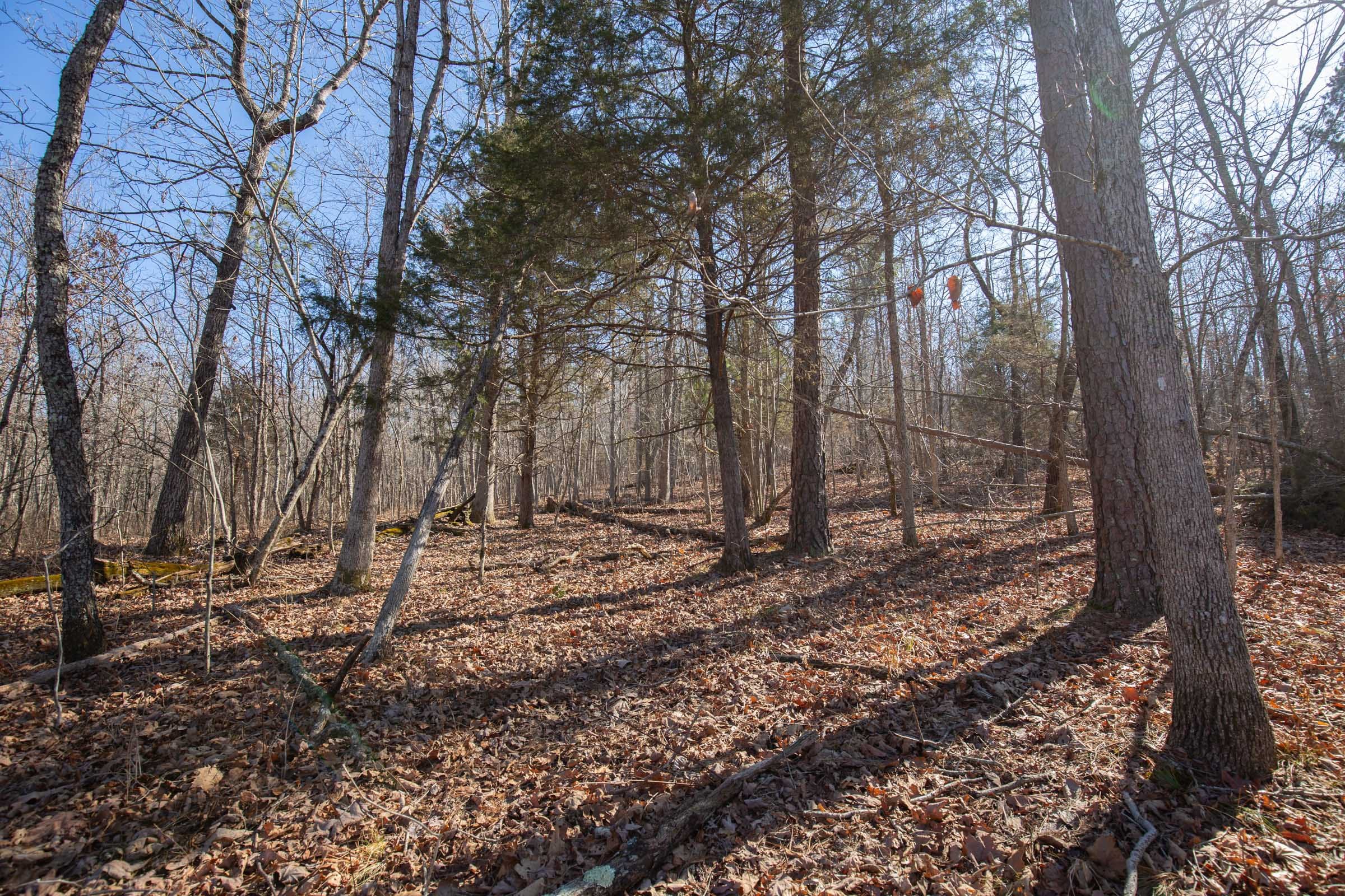 O’Connor Crossing Tract 22 photo 4