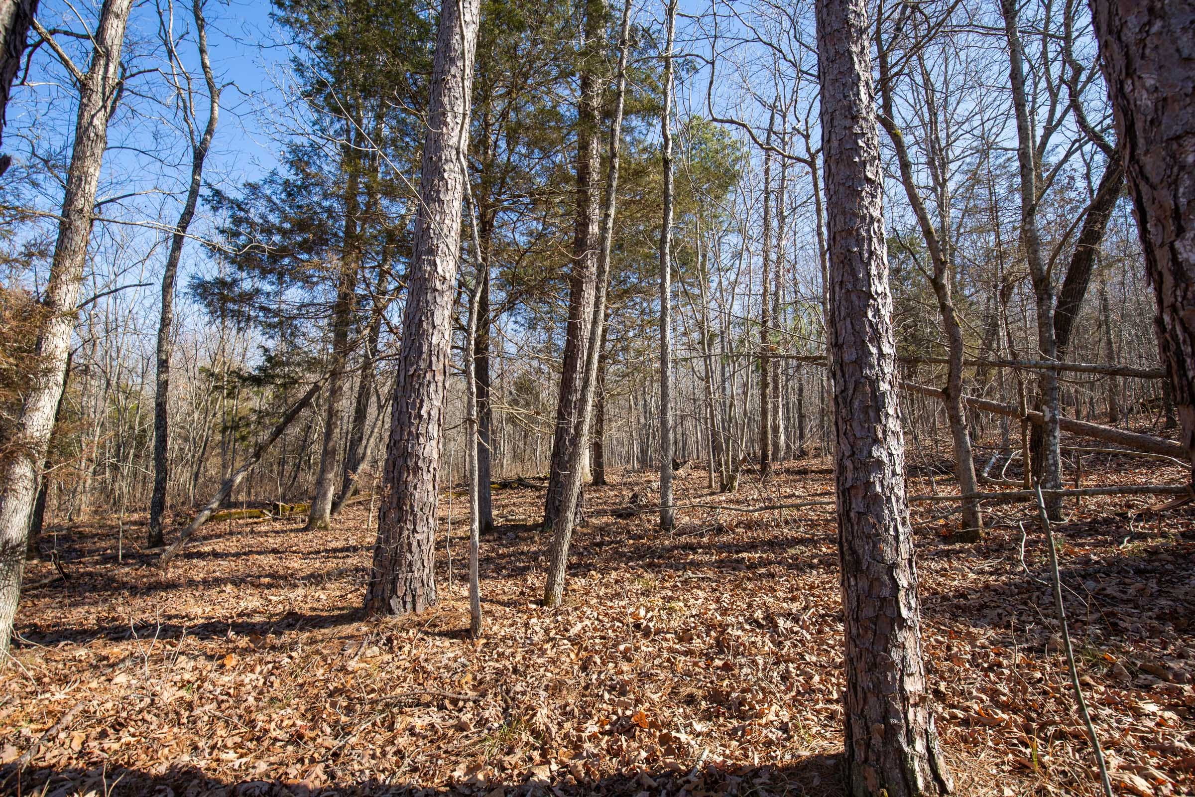 O’Connor Crossing Tract 22 photo 17