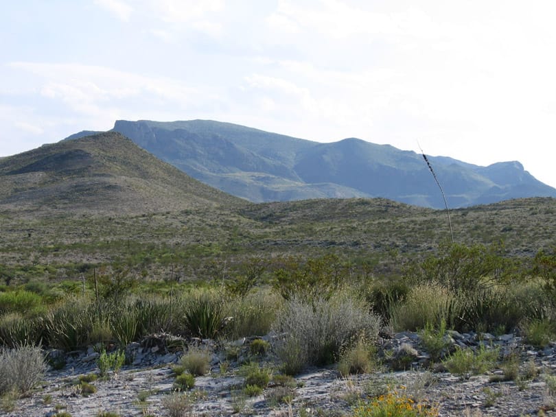 Terlingua Ranch Tract 6363 photo 5