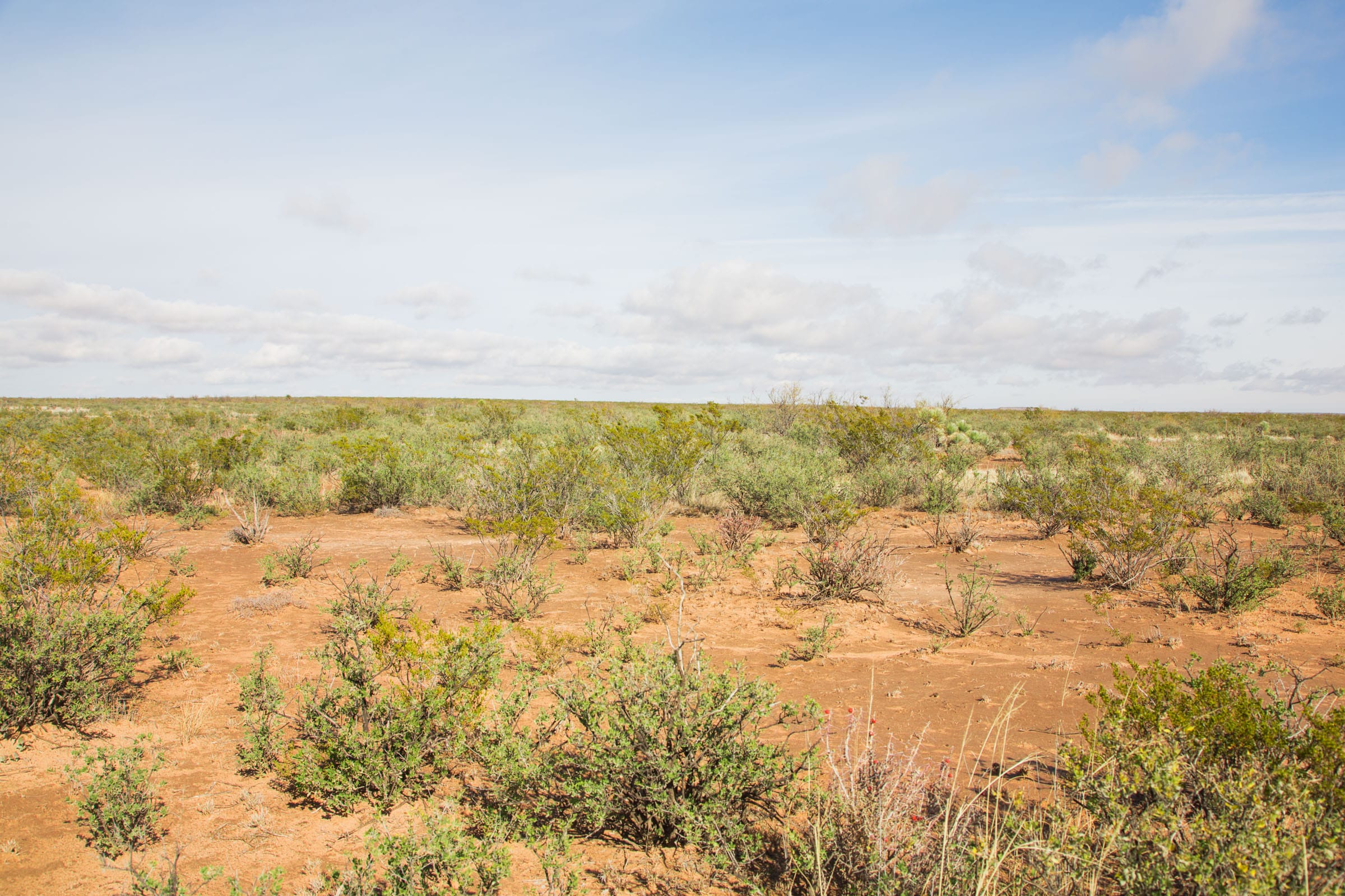 Sunset Ranches Tract 18 photo 8
