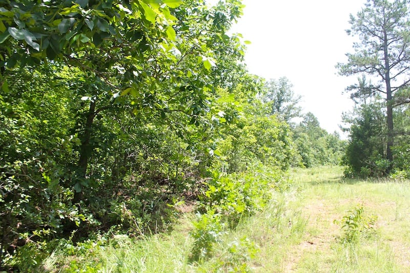 Green Mountain Ranch Tract 20 photo 1