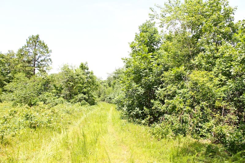 Green Mountain Ranch Tract 20 photo 2
