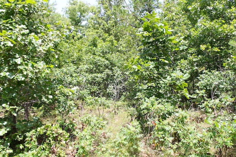 Green Mountain Ranch Tract 20 photo 3