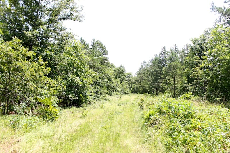 Green Mountain Ranch Tract 20 photo 4