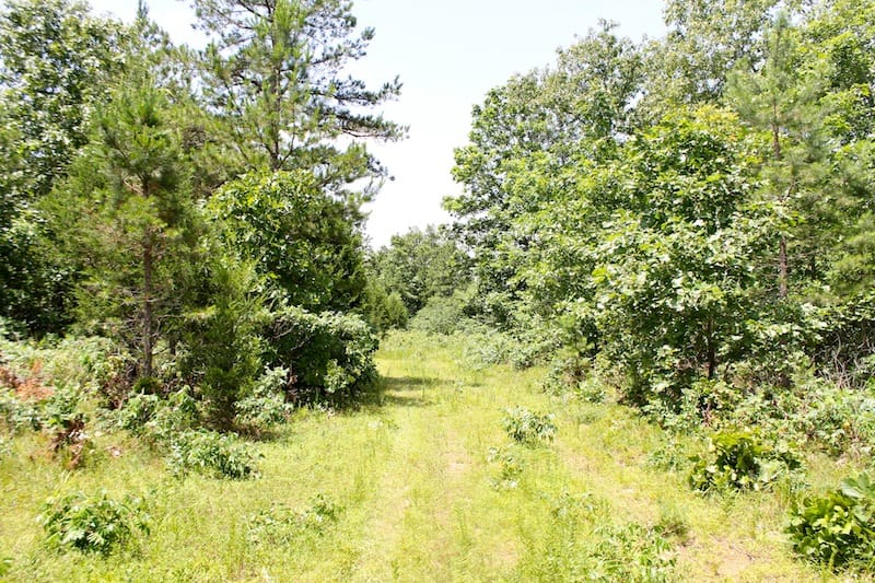 Green Mountain Ranch Tract 20 photo 6