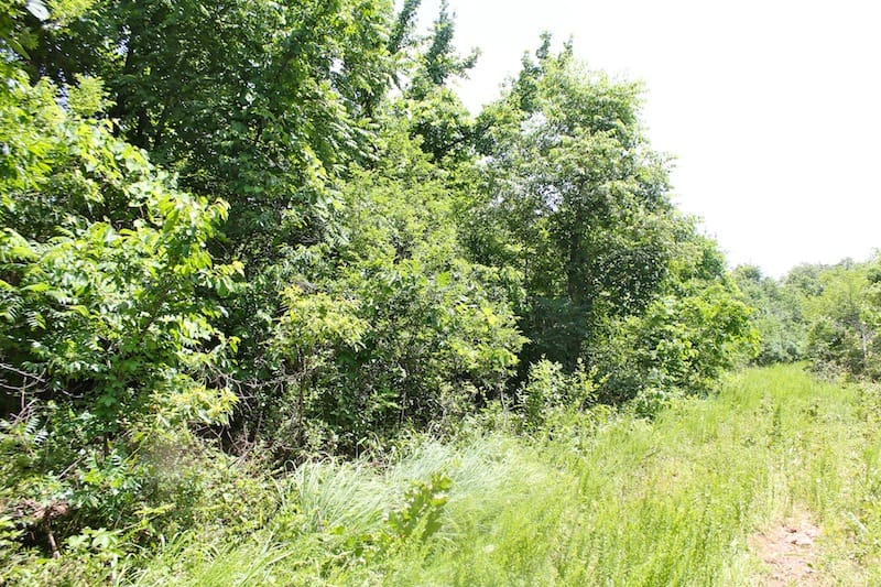 Green Mountain Ranch Tract 20 photo 7