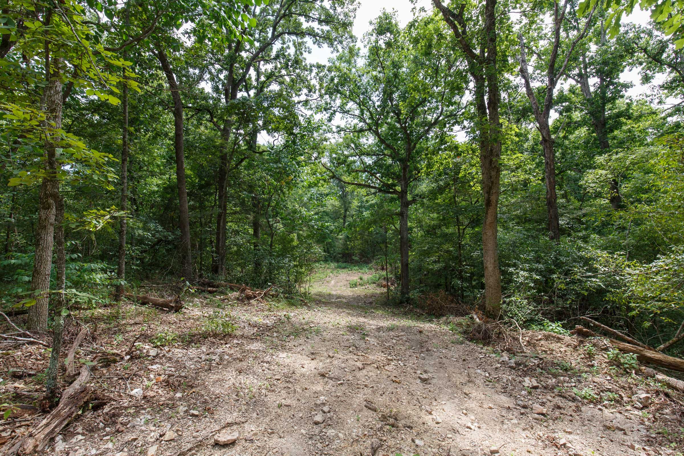 Wildwood Tract 22 photo 1