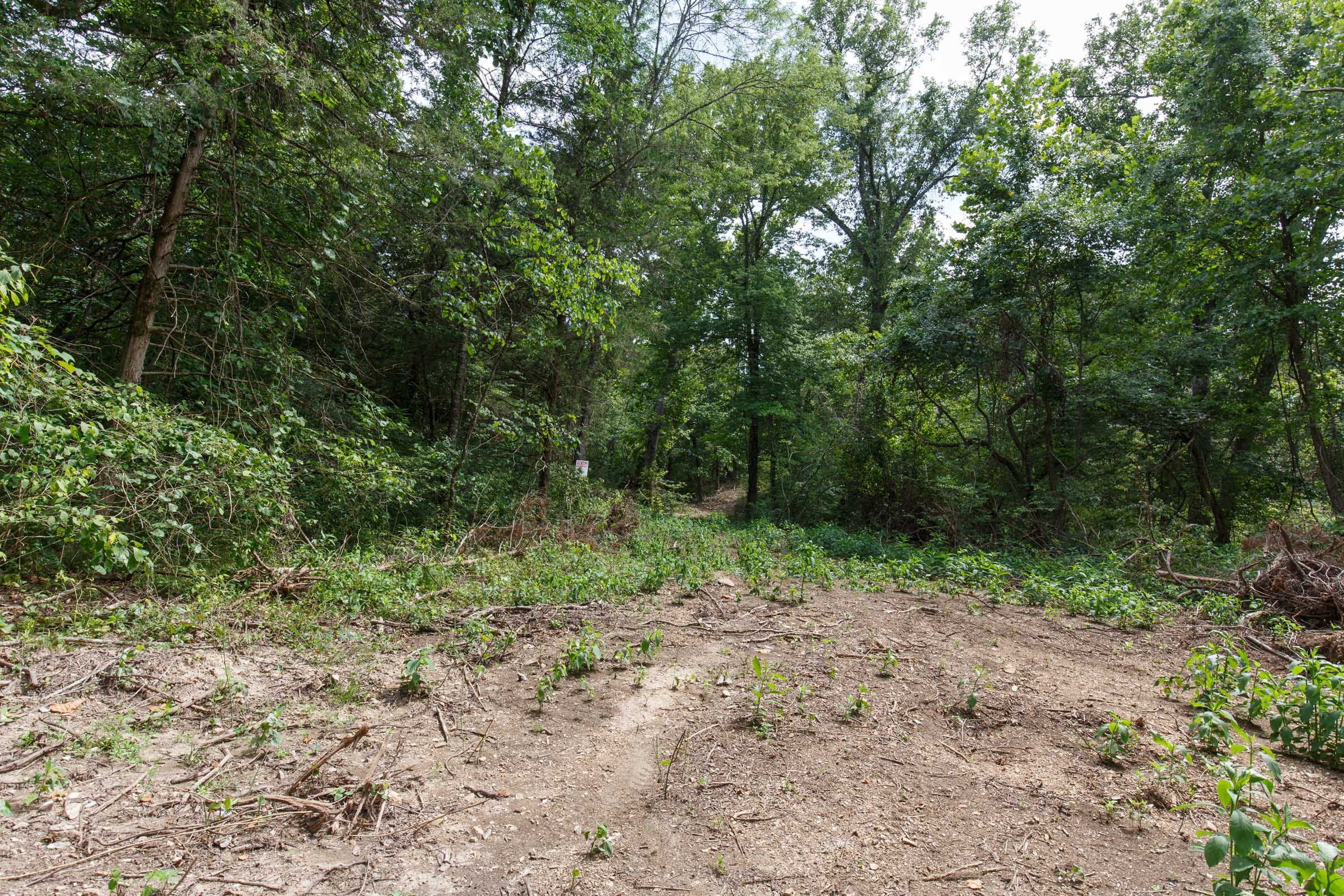 Wildwood Tract 22 photo 4