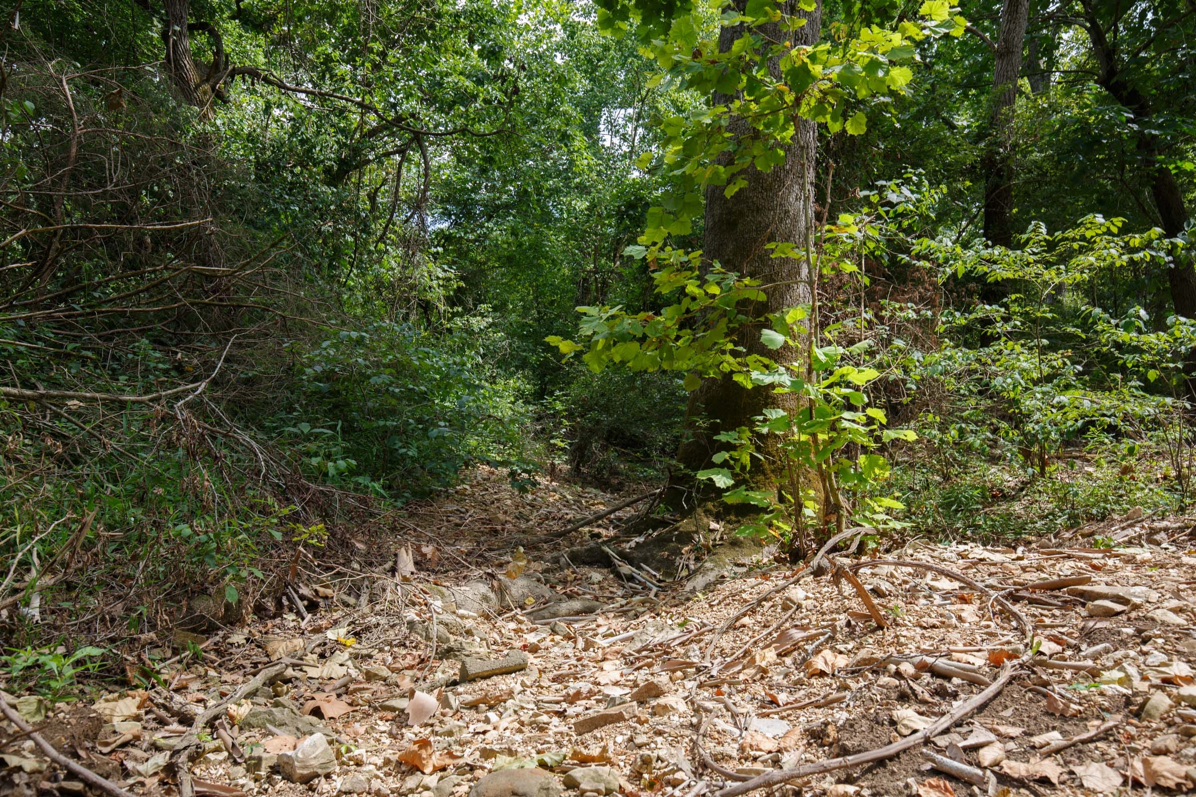 Wildwood Tract 22 photo 2