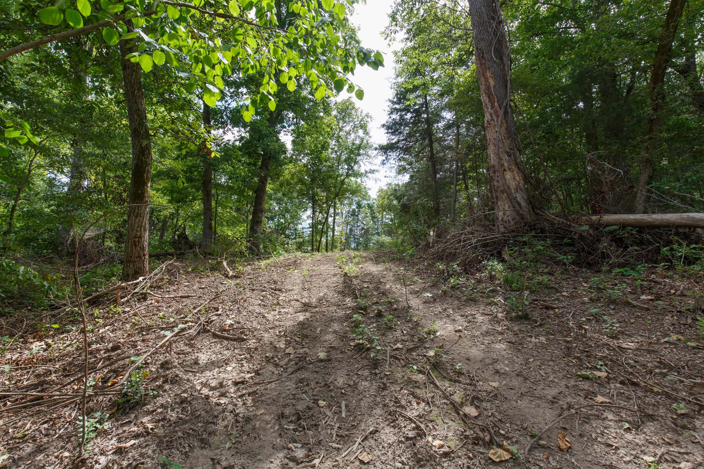 Wildwood Tract 22 photo 7