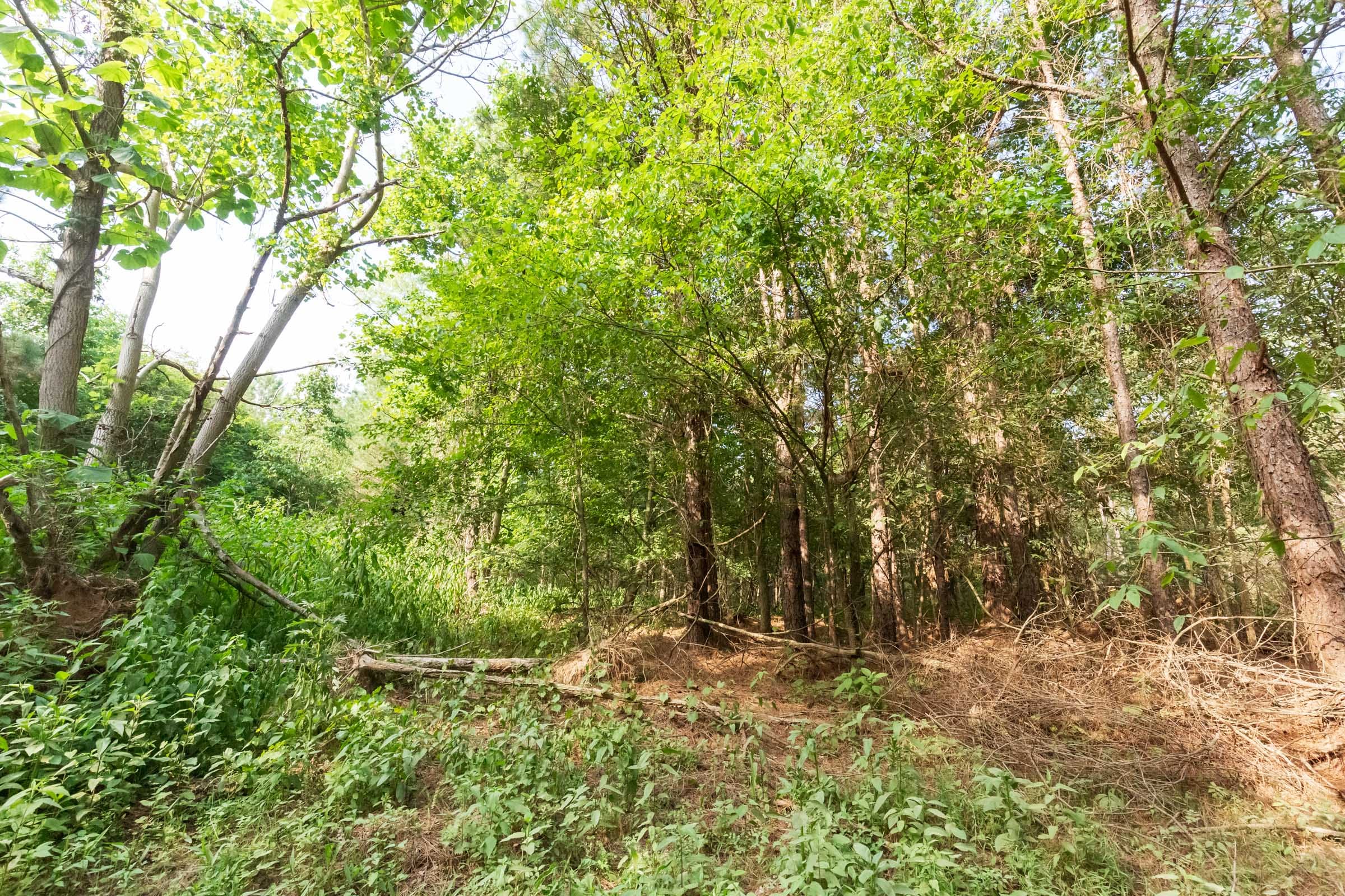 Whiskey Ridge Tract 71 photo 2