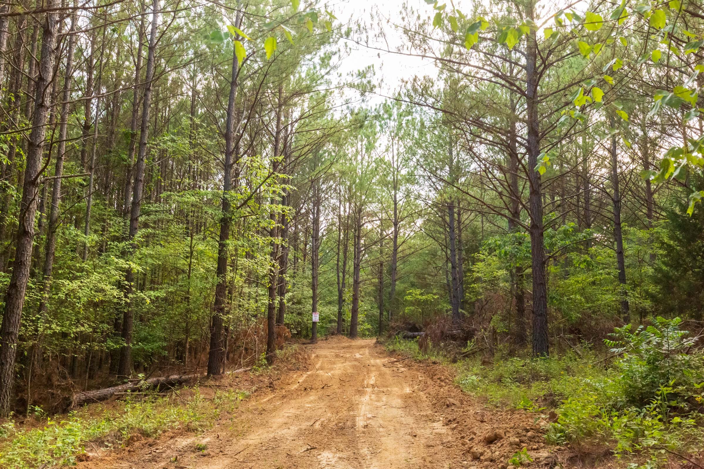 Whiskey Ridge Tract 71 photo 4
