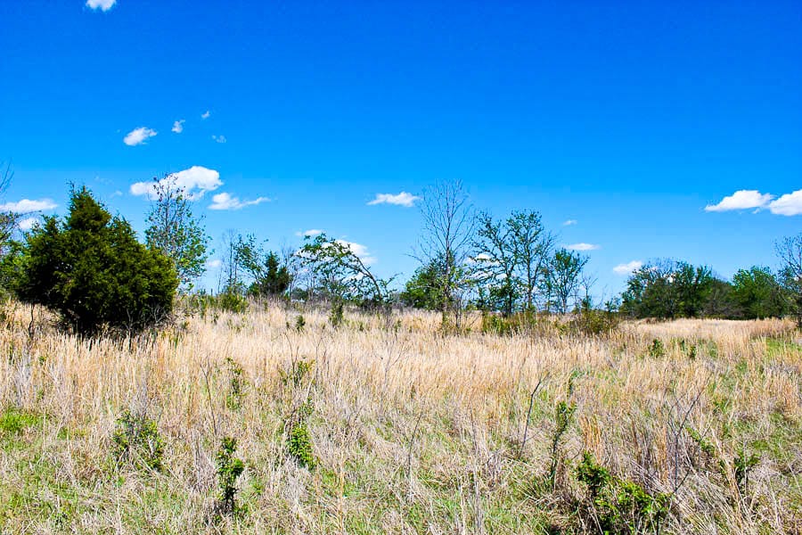 Saddlebrook Ranch Tract 33 photo 1