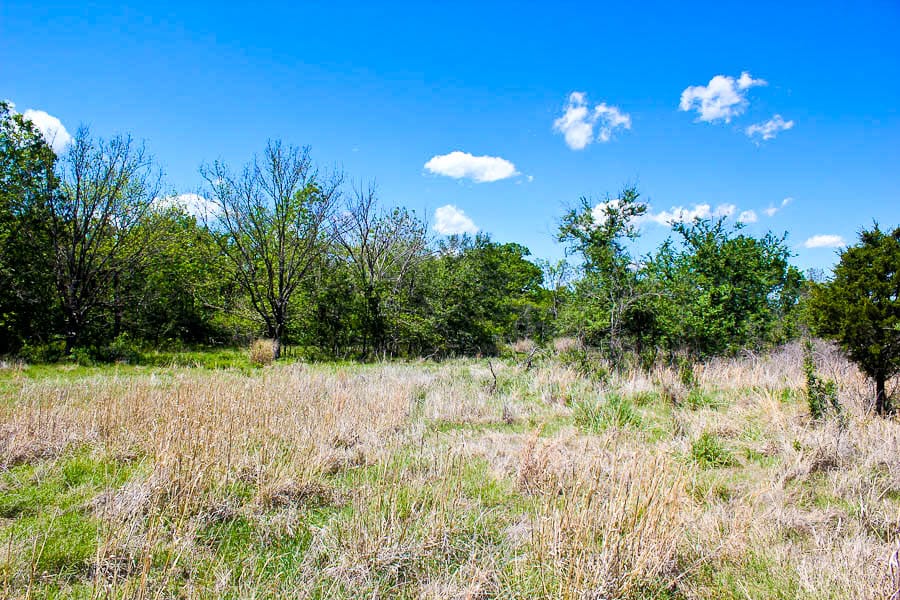 Saddlebrook Ranch Tract 33 photo 2