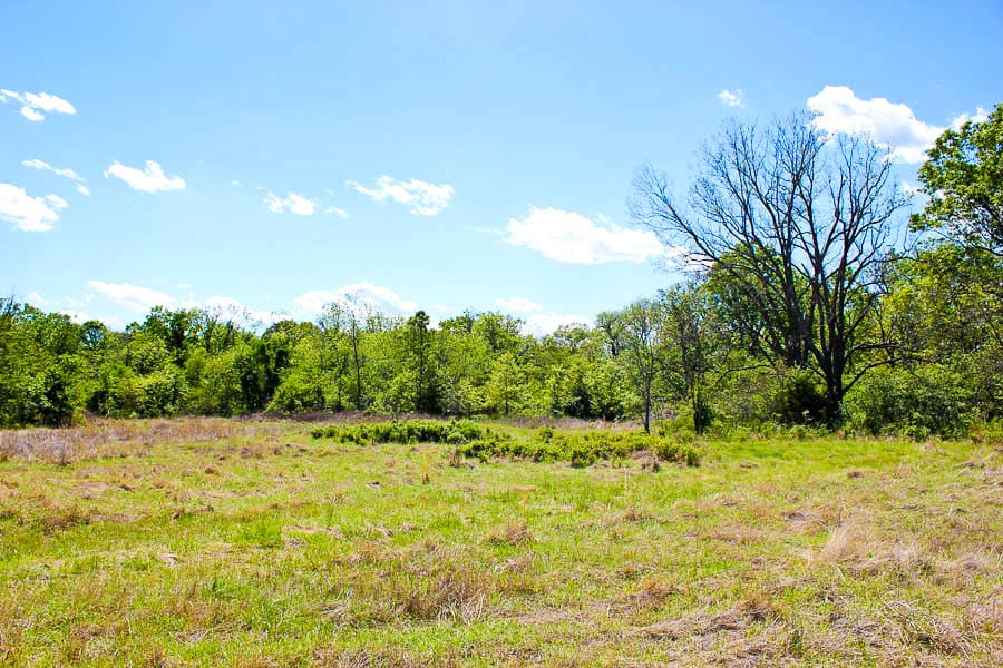 Saddlebrook Ranch Tract 33 photo 3