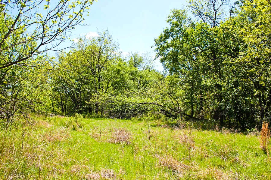 Saddlebrook Ranch Tract 33 photo 4