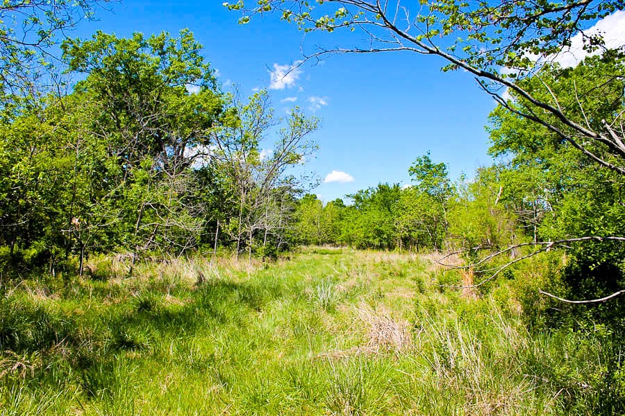 Saddlebrook Ranch Tract 33 photo 5