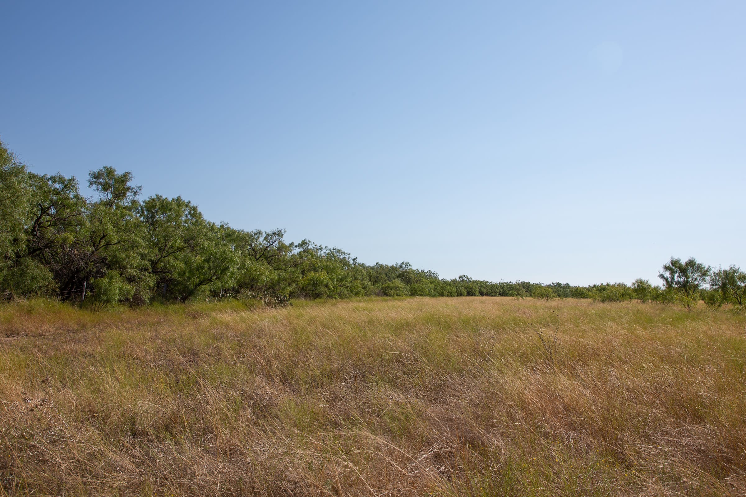 Hunter’s Ranch Tract 14 photo 2