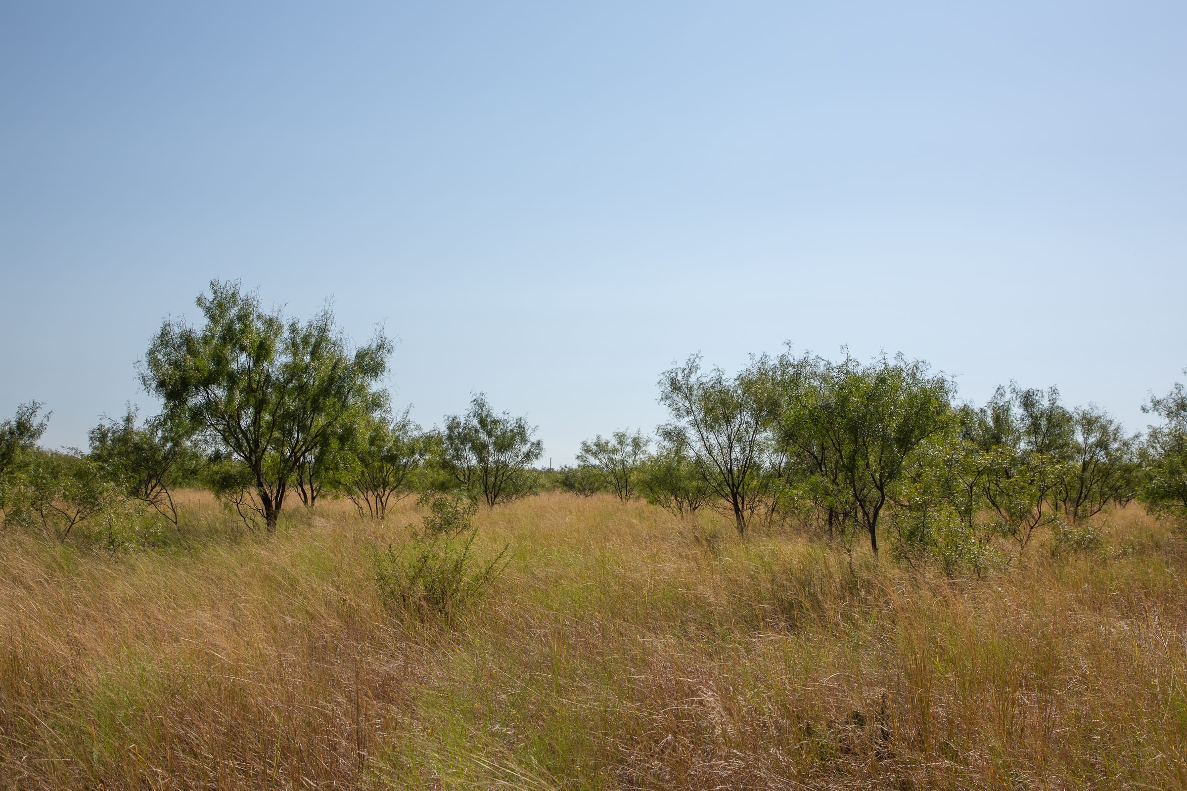 Hunter’s Ranch Tract 14 photo 4