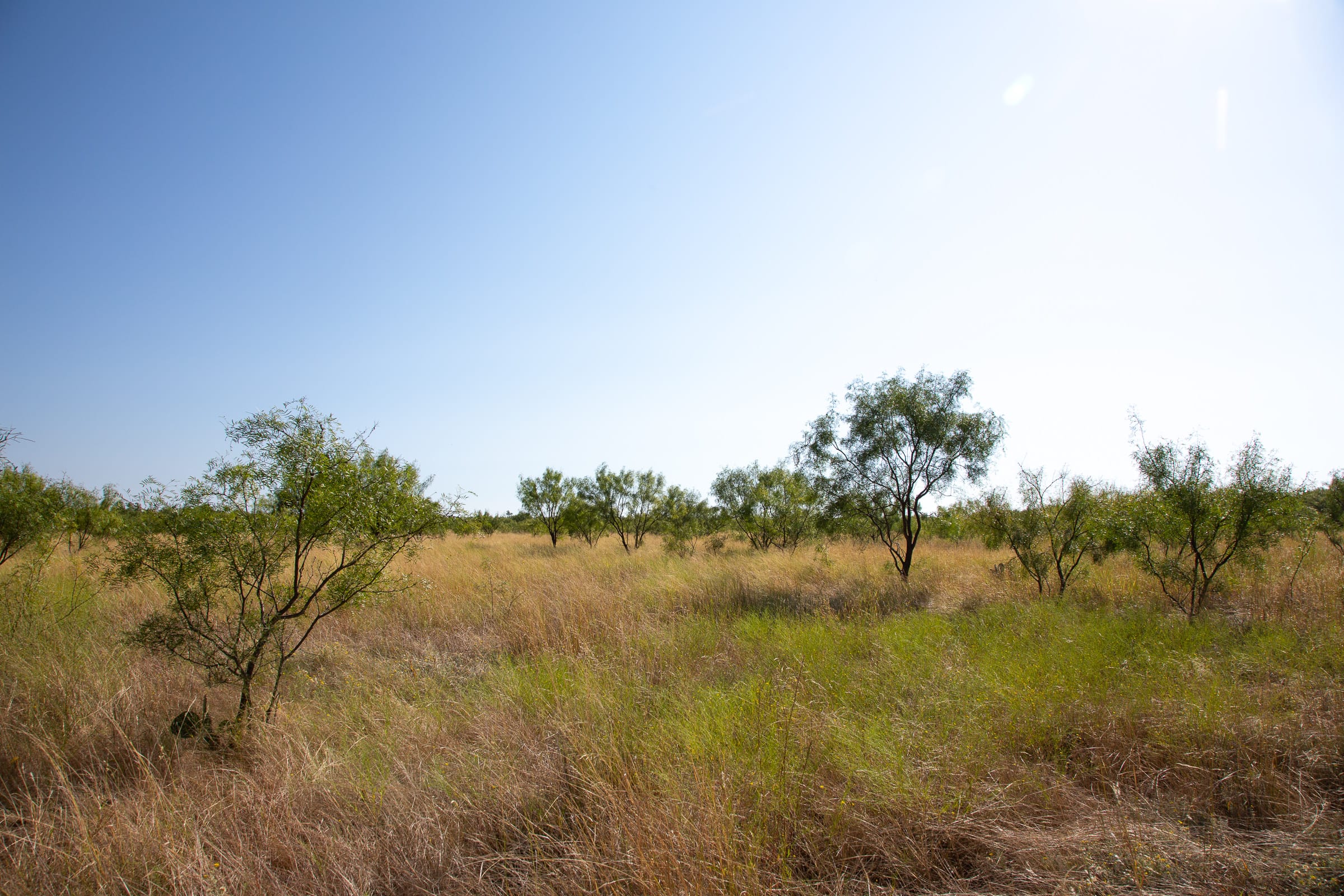 Hunter’s Ranch Tract 14 photo 6