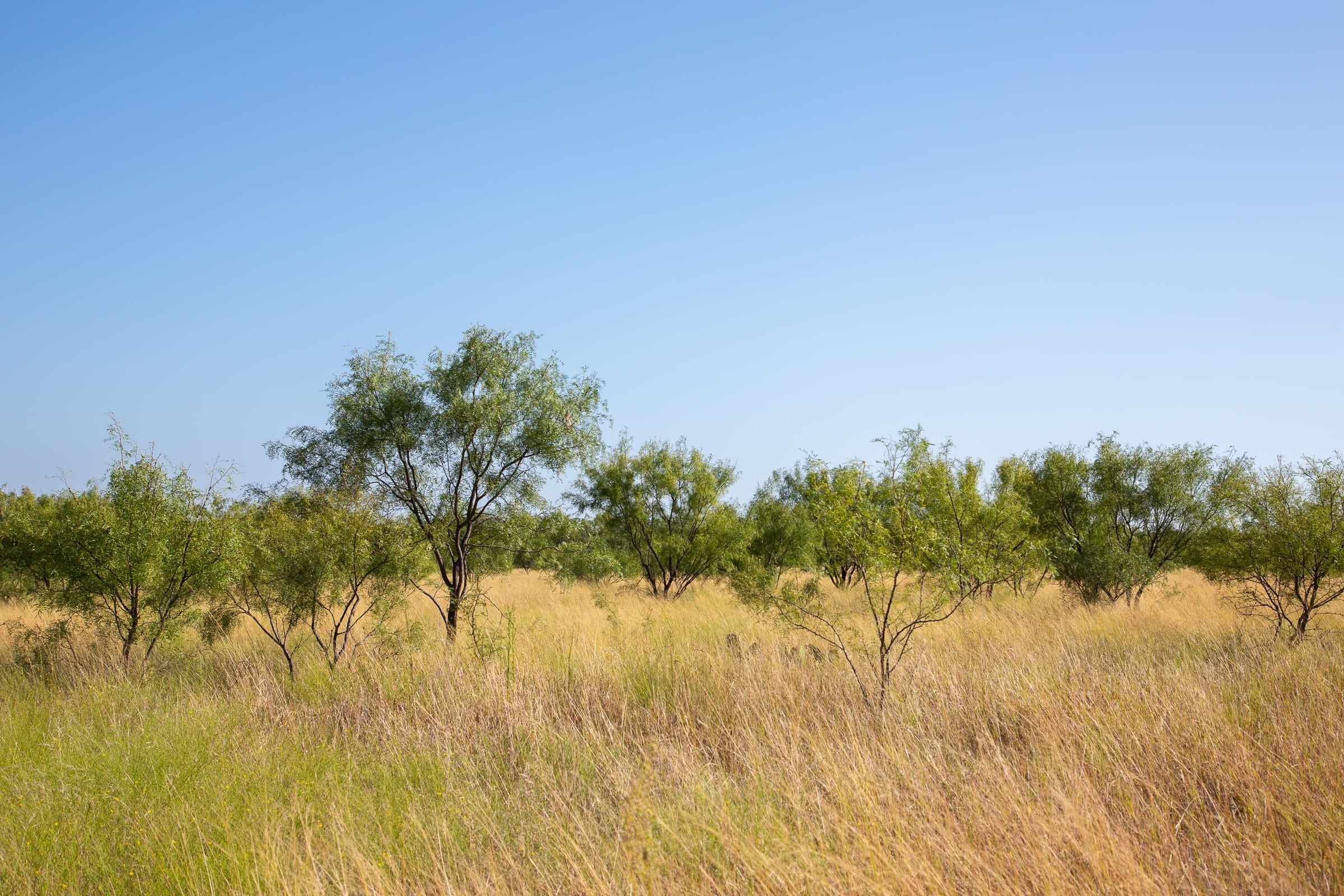 Hunter’s Ranch Tract 14 photo 7