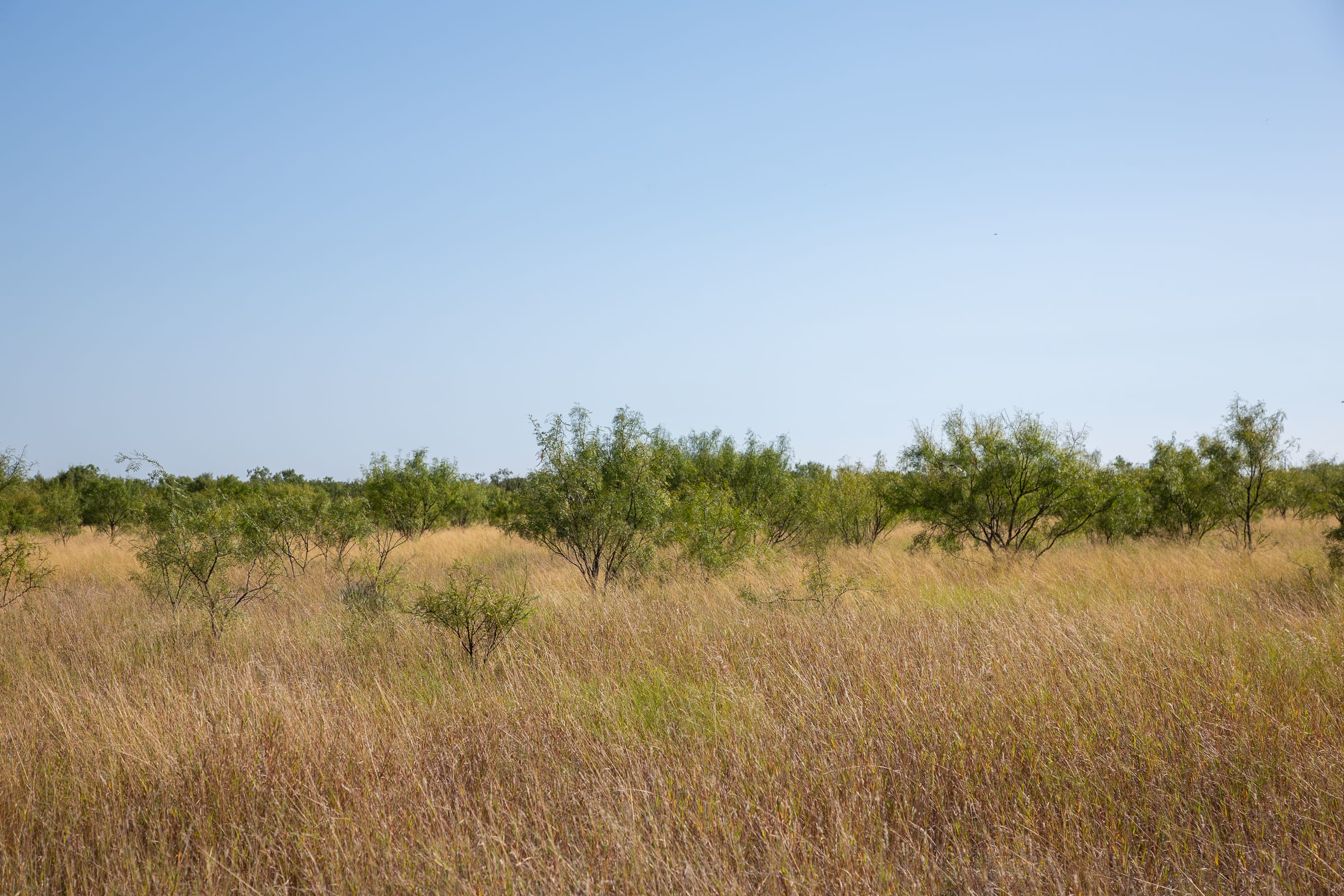 Hunter’s Ranch Tract 14 photo 8