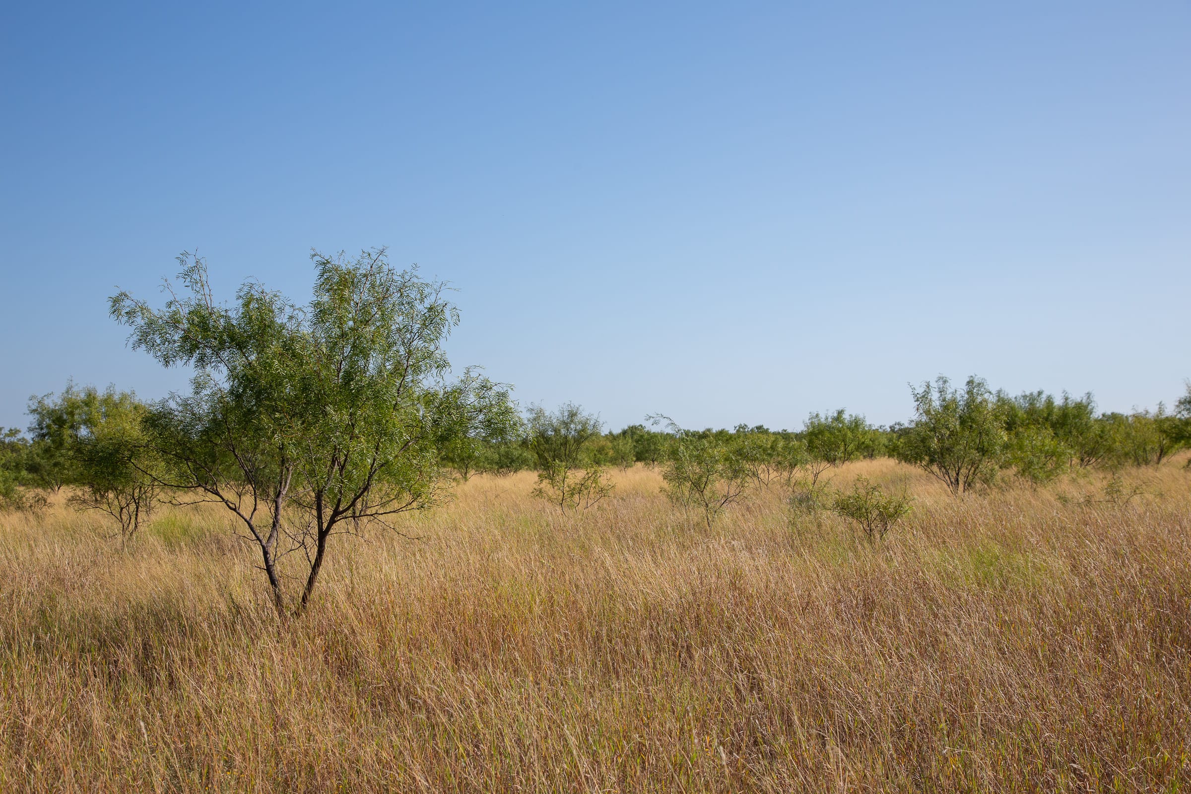 Hunter’s Ranch Tract 14 photo 9